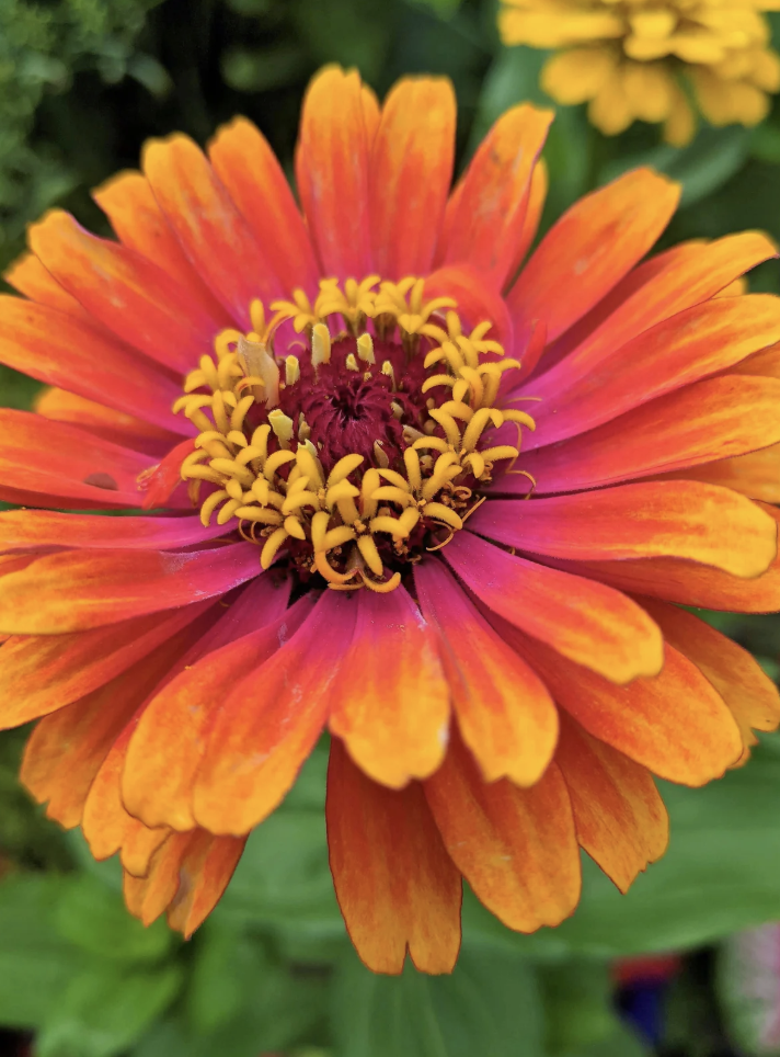 Screen Shot 2024-11-23 at 11.14.51 PM.png