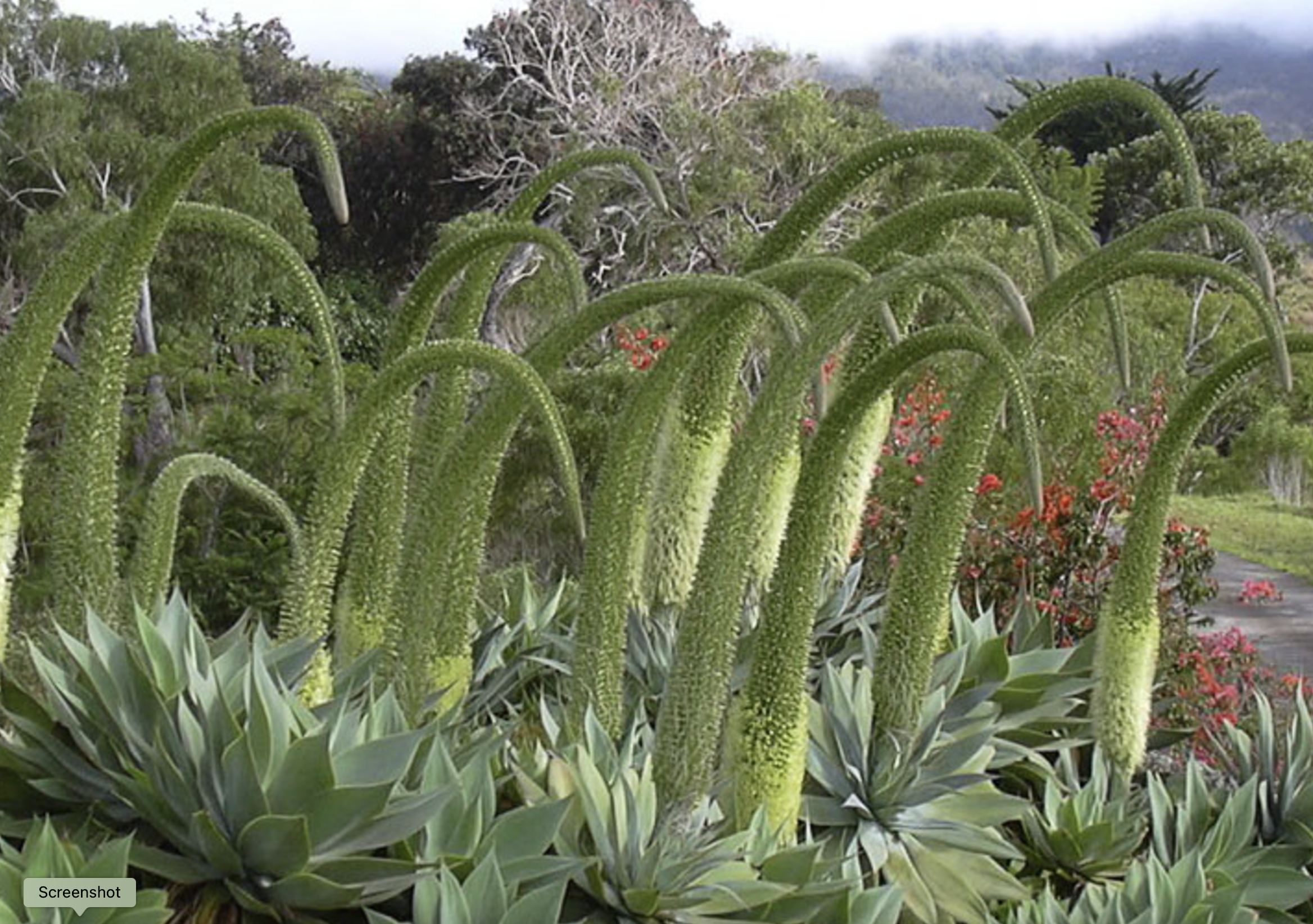 Screen Shot 2024-11-23 at 10.57.23 PM.png