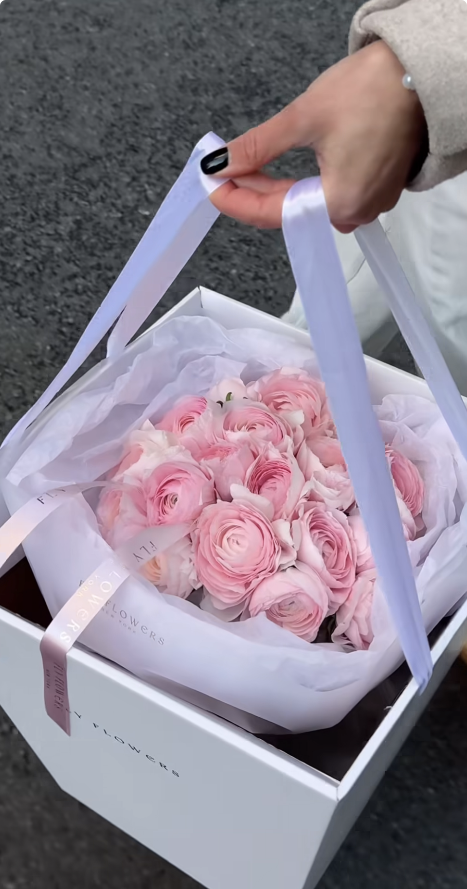 Screenshot 2026-01-25 at 3.41.46 PM.png