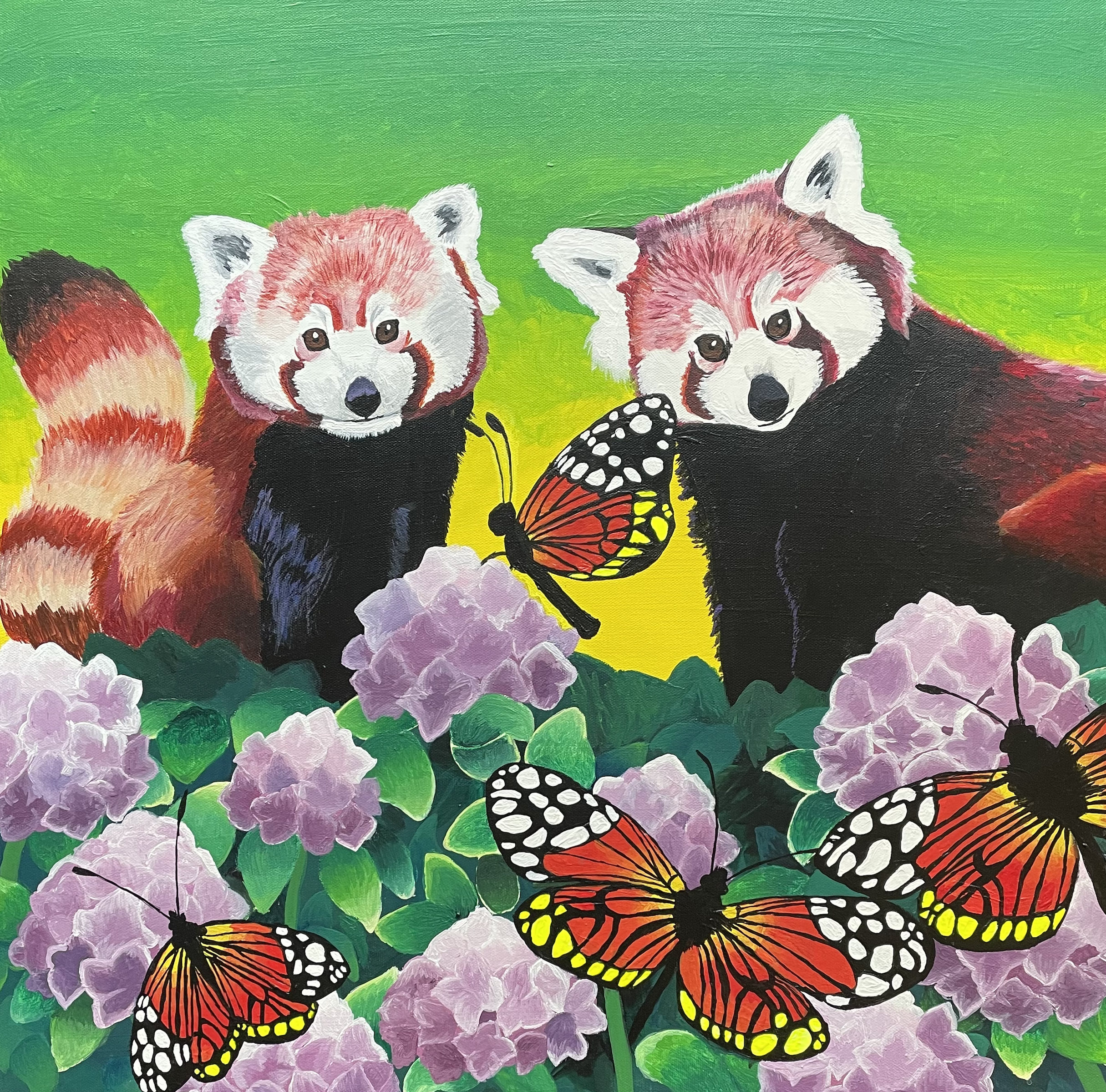 Myasia Dowdell
"Racoon Fox"