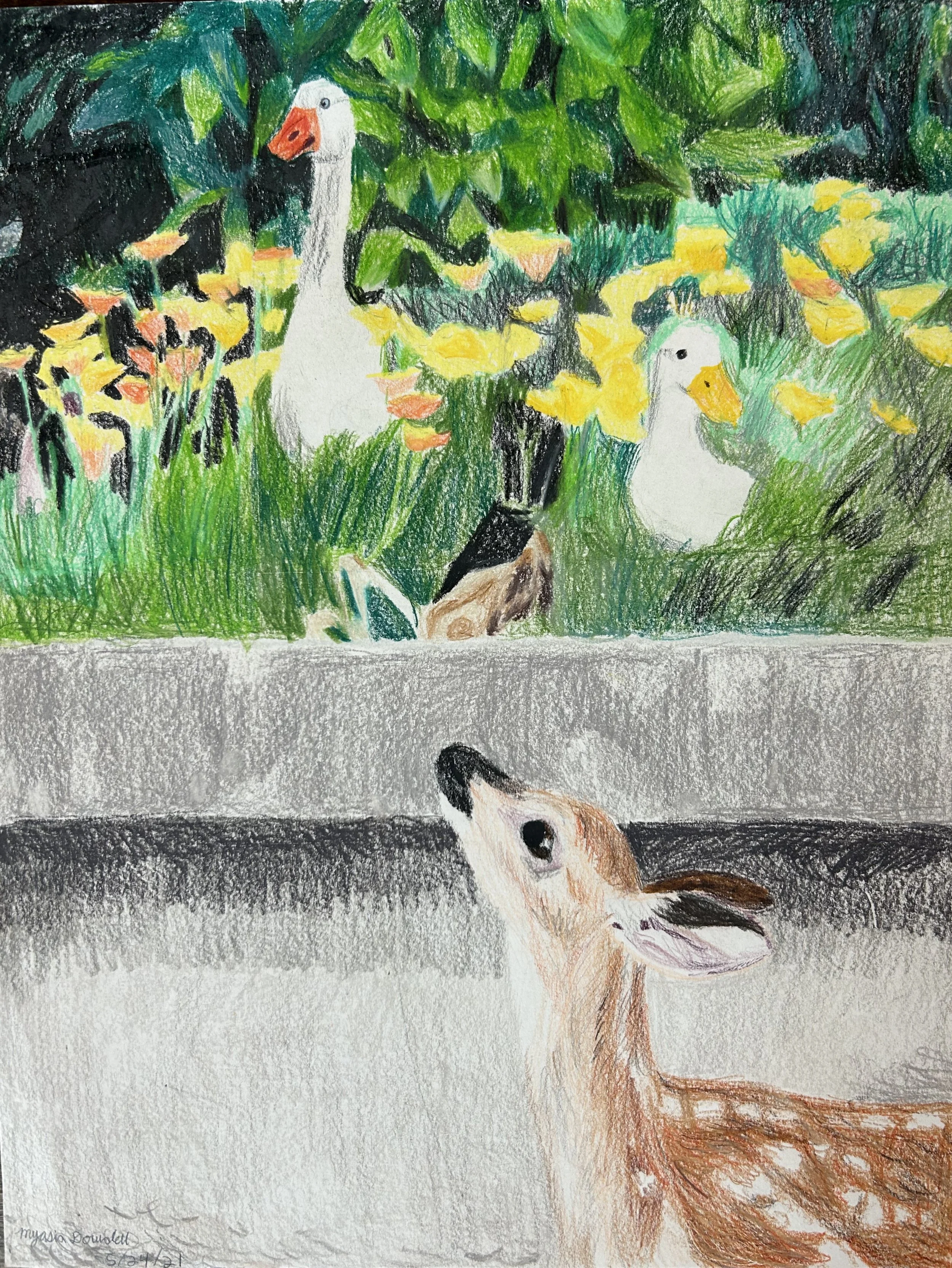 Myasia Dowdell
"Deer and Ducks"
