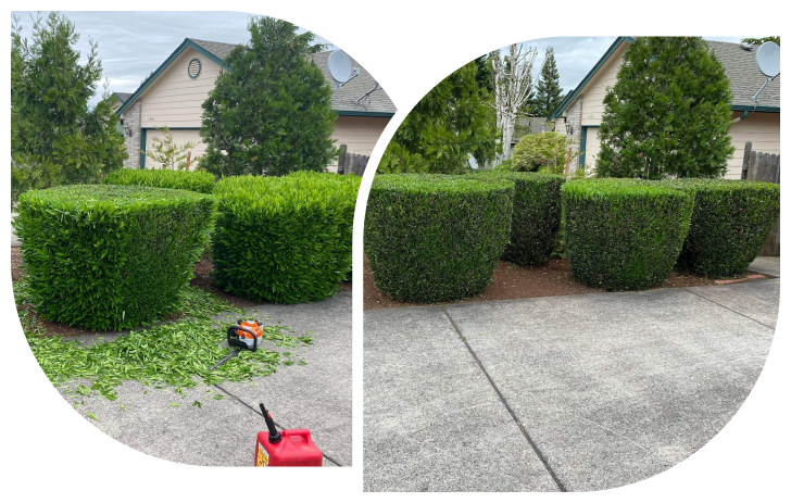 joses-lawn-services-before-and-after-1.png
