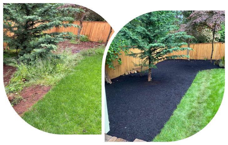 joses-lawn-services-before-and-after-3.png