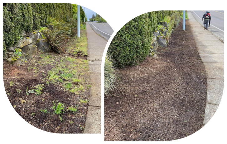 joses-lawn-services-before-and-after-4.png