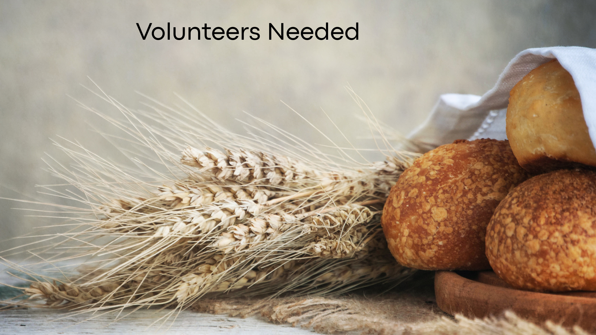 Volunteers Needed