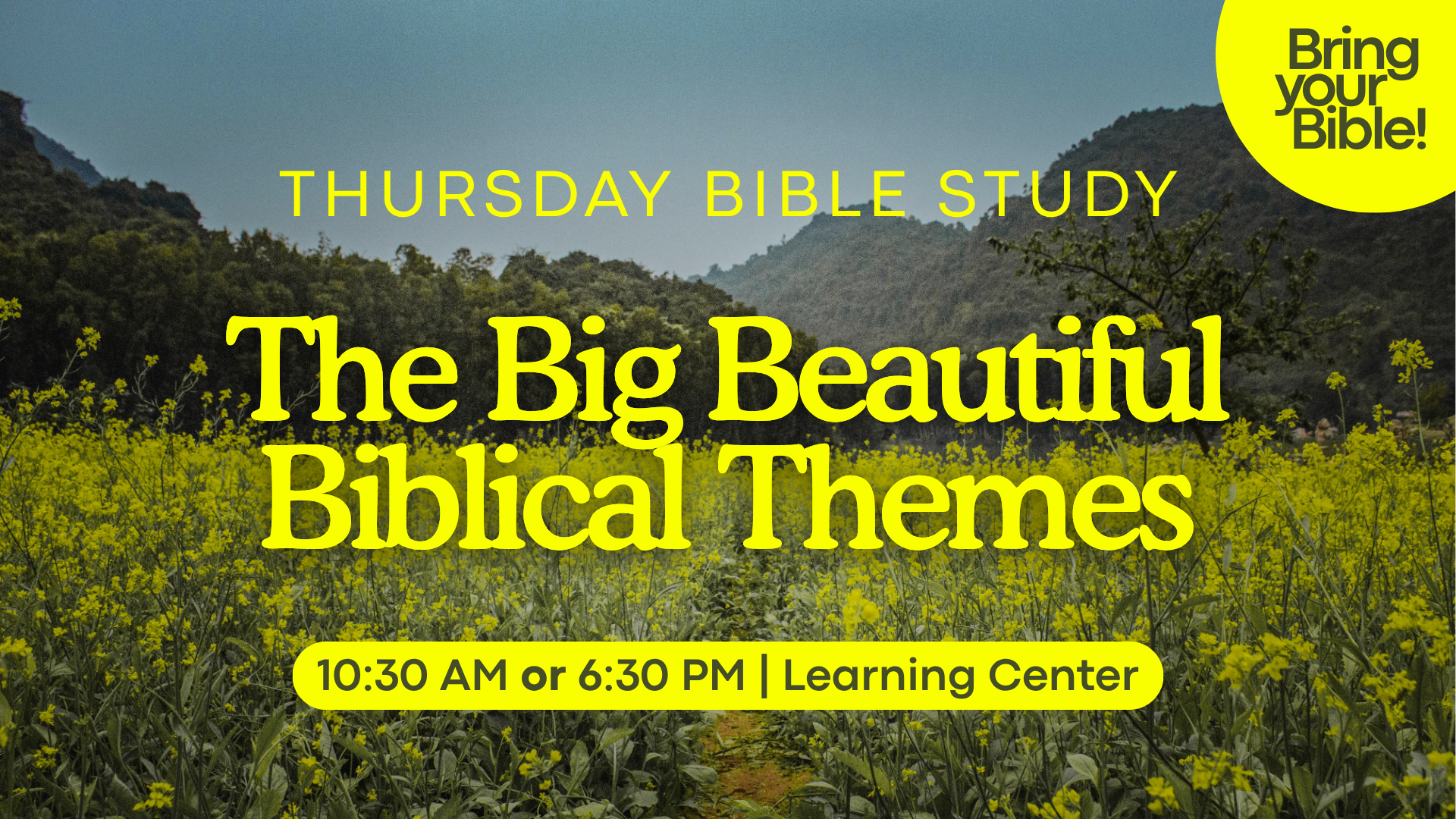 Big, Beautiful Biblical Themes Bible Study