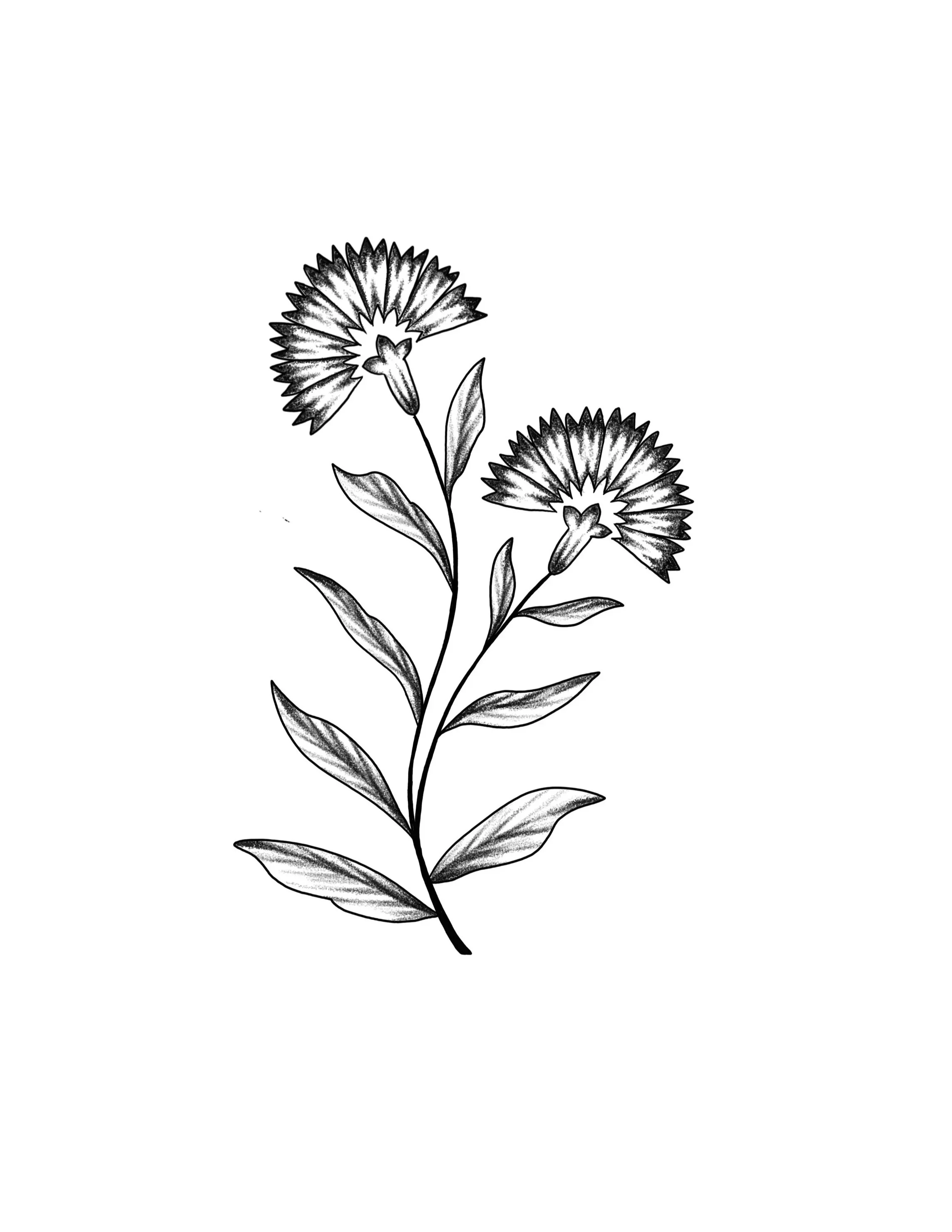 folky floral #9- repeatable