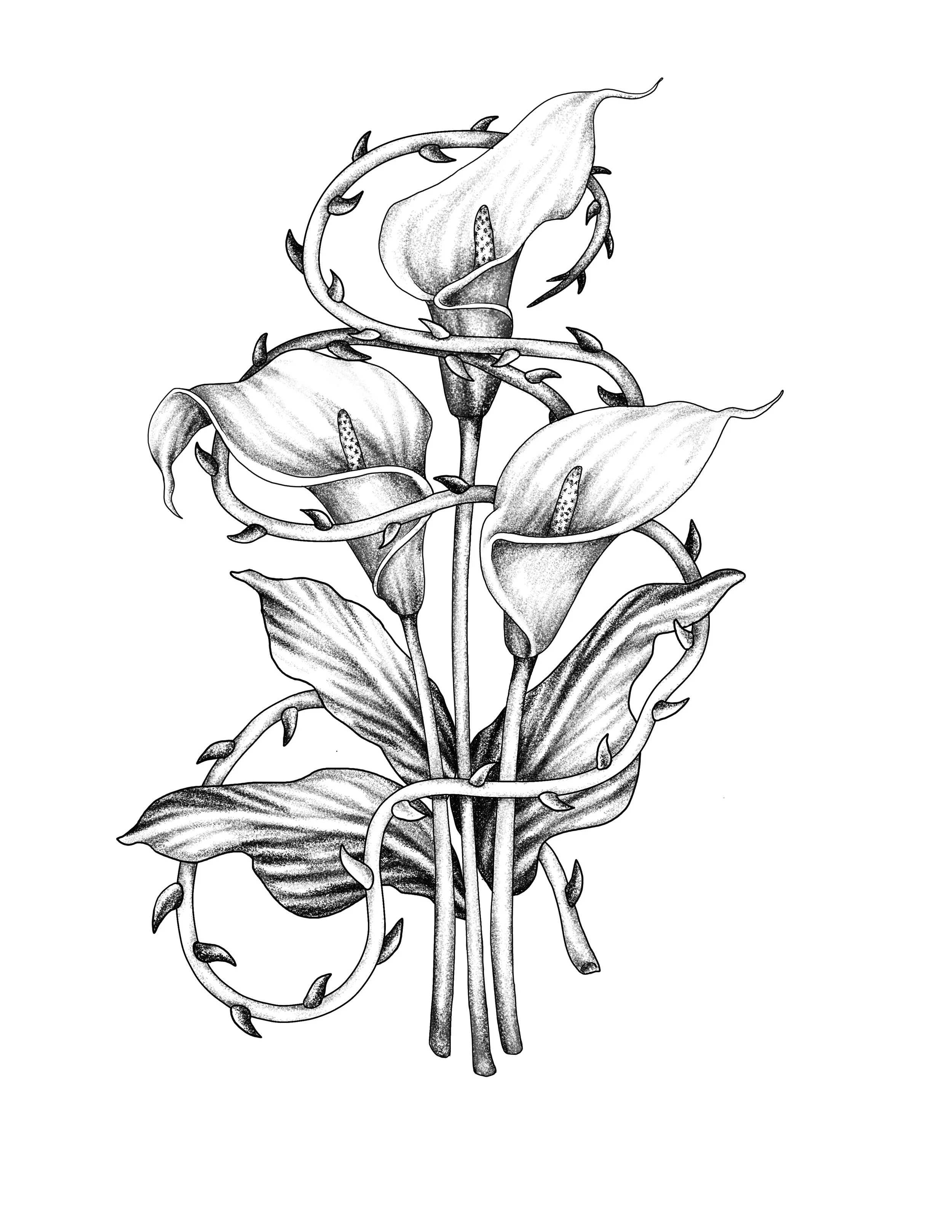 Untitled_Artwork 23 copy.jpg
