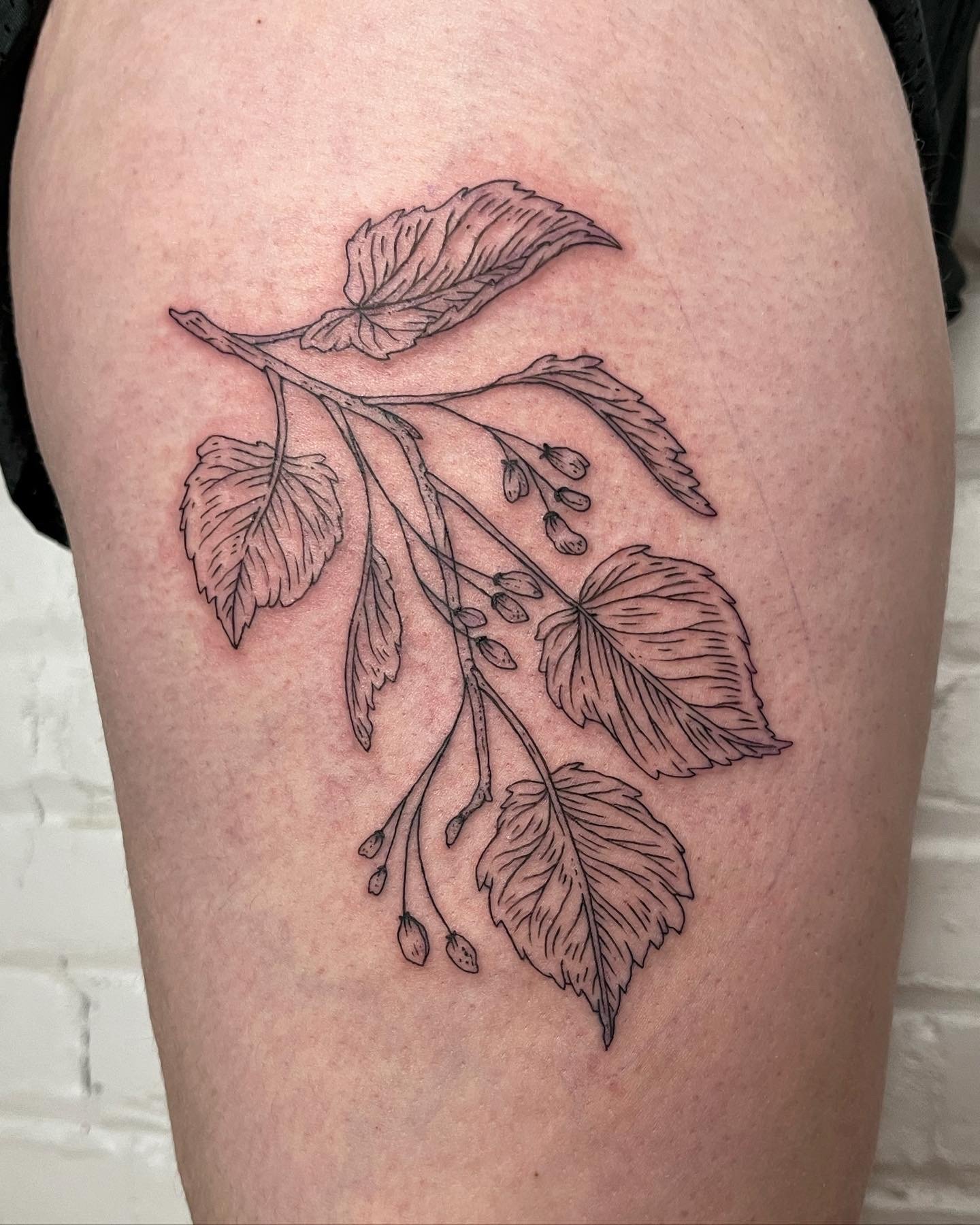 Tattoo uploaded by Lauren Westervelt • River birch tree branch. #treebranch  #smalltattoos #finelinetattoos #armtattoo #planttattoos • Tattoodo