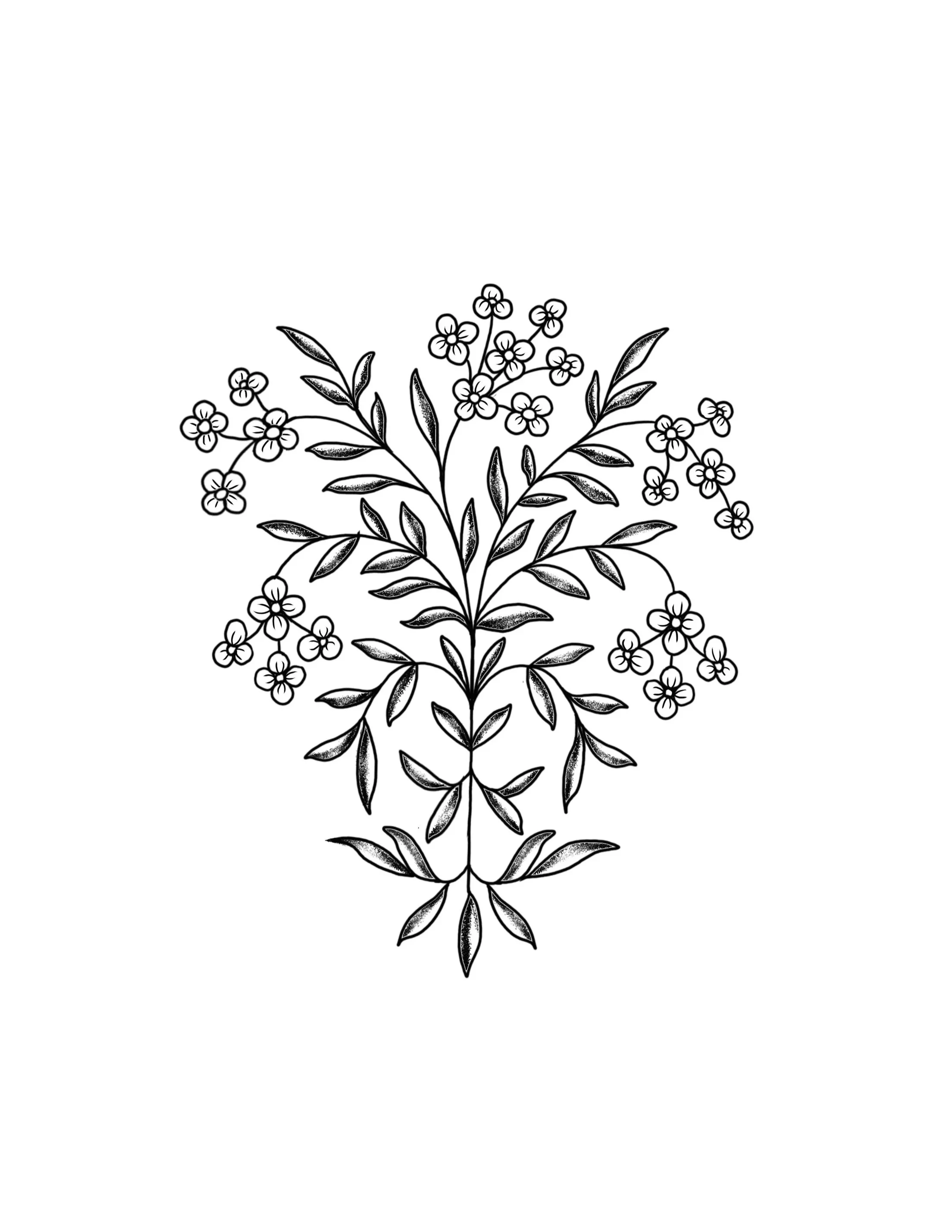 folky forget-me-knots