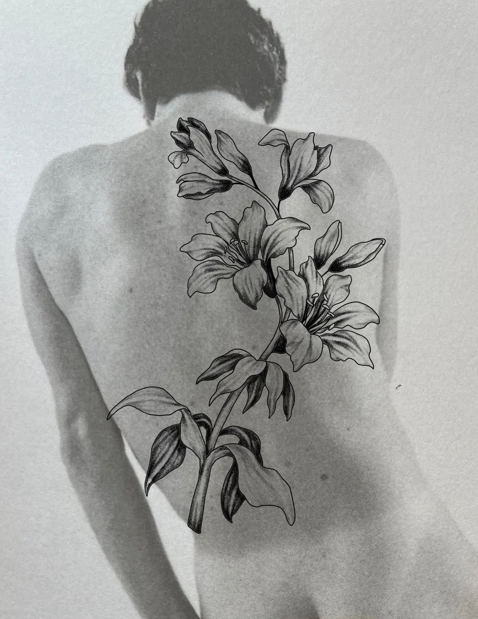 Untitled_Artwork+7+copy+2.jpg