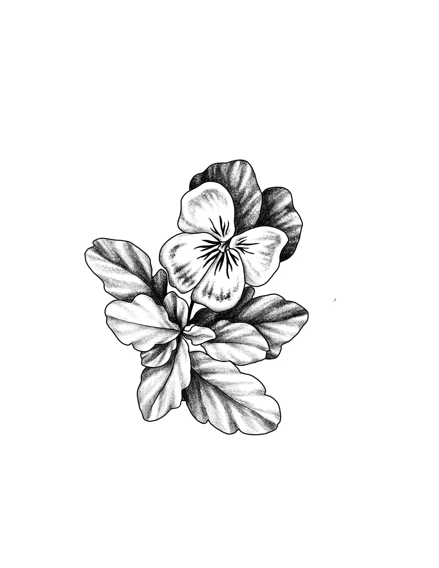 Untitled_Artwork+26.jpg
