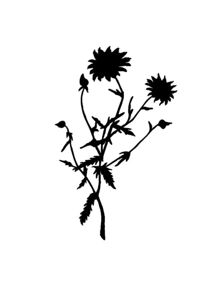 Untitled_Artwork+8+copy+2.jpg