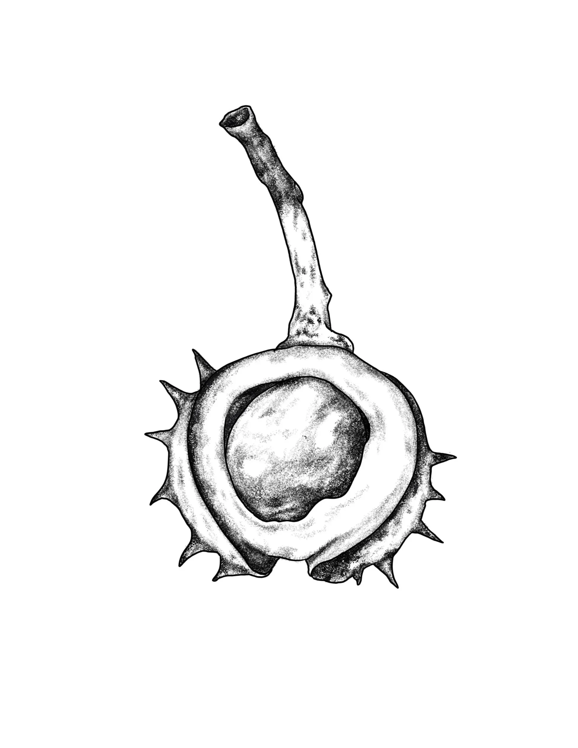Untitled_Artwork+8.jpg