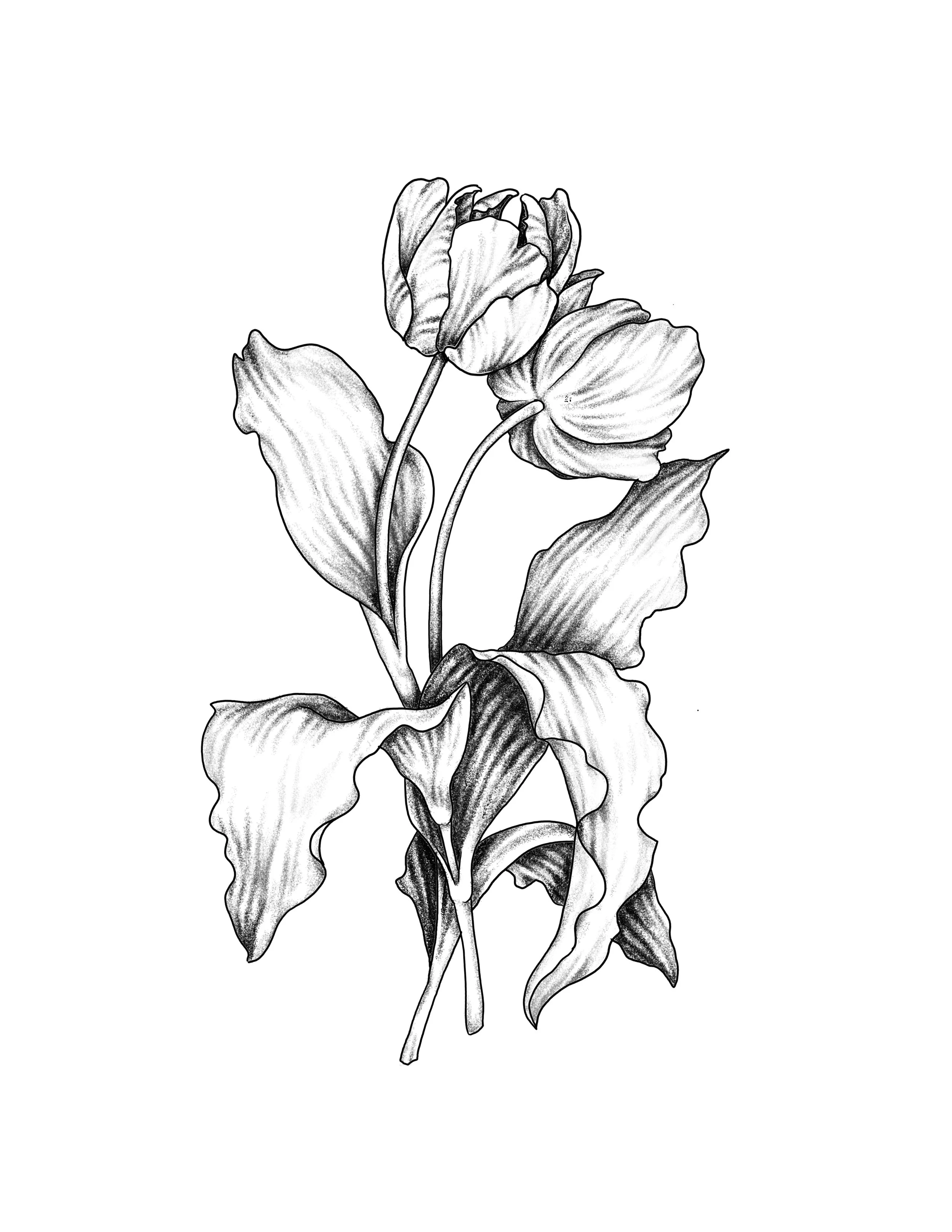 Untitled_Artwork 23 copy 2.JPG