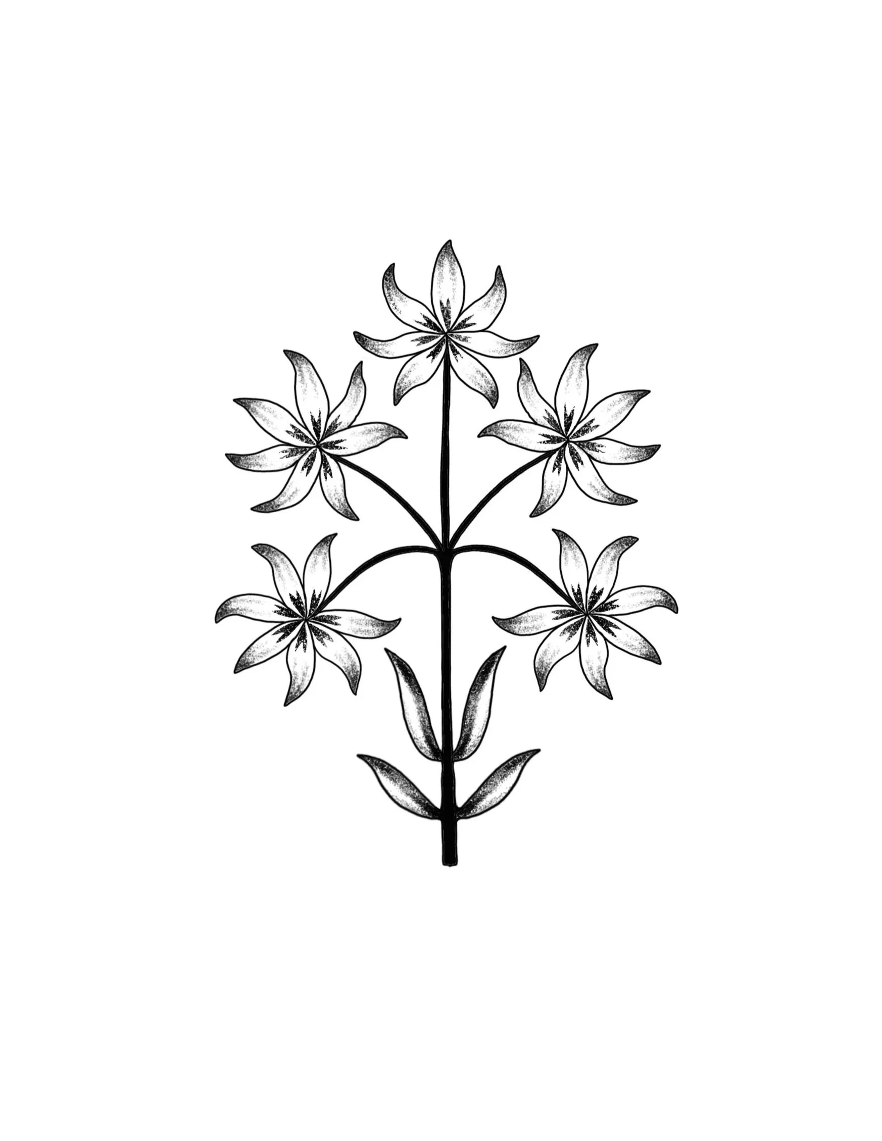 folky floral 3- repeatable