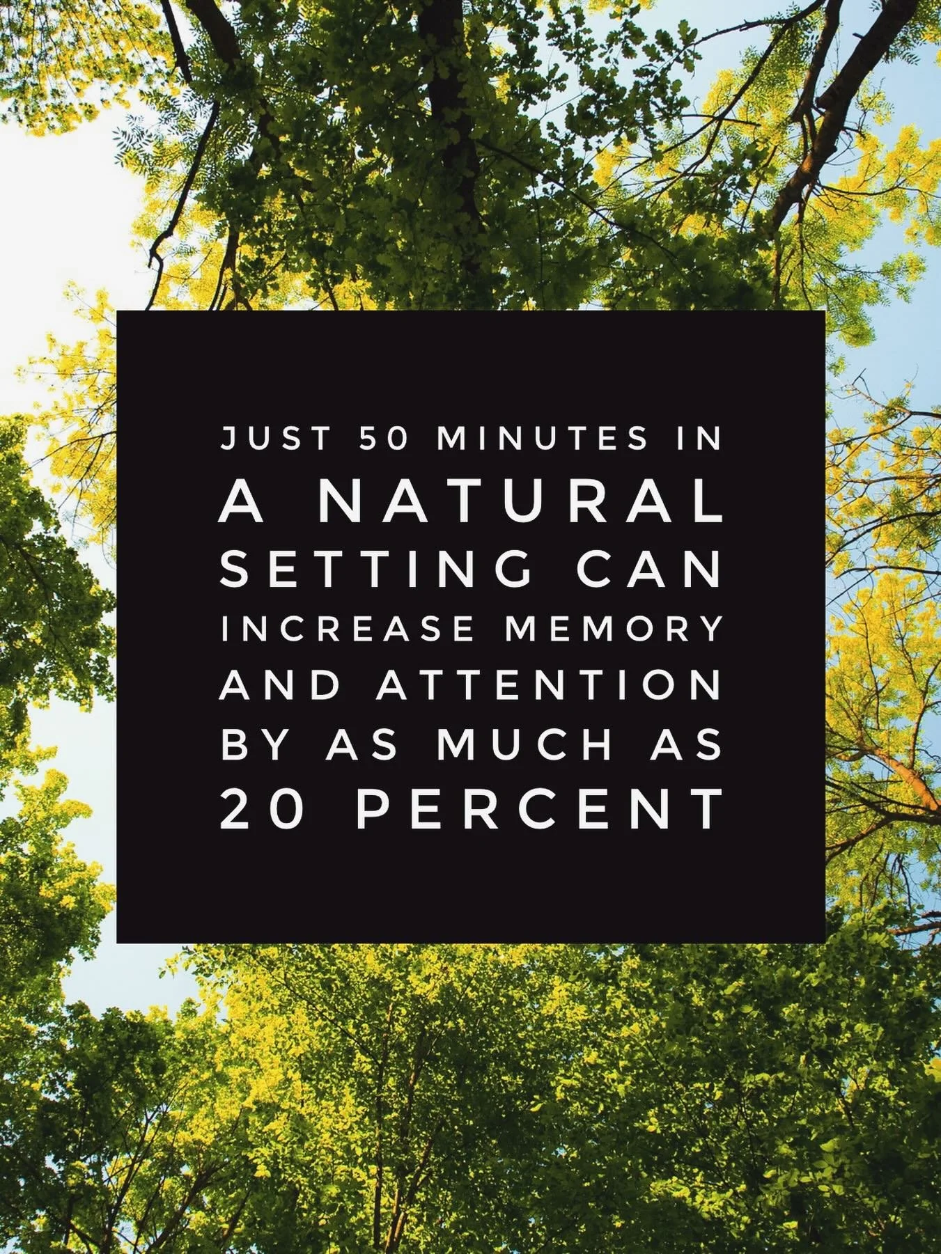 The cognitive benefits of interacting with nature
Psychol Sciactions. 2008 Dec;19(12):1207-12. doi: 10.1111/j.1467-9280.2008.02225.x. #elementalmed #lifestylemedicine #healthbenefitsofnature #healthyliving #healthylifestyle #livingahealthylifestyle #