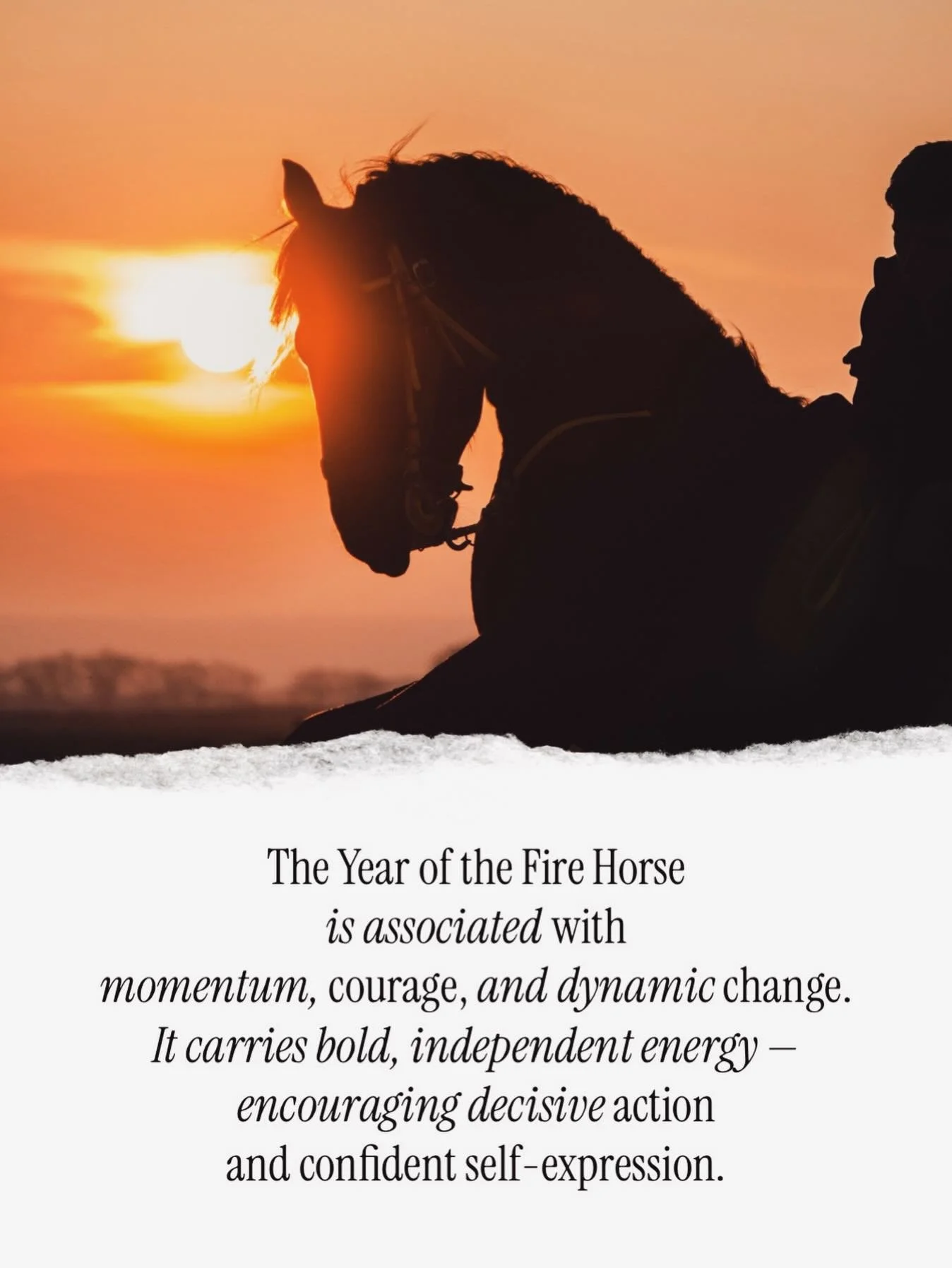 #chinesenewyear2026 #yearofthefirehorse  #elementalmedclinic #elementalmed
#elementalmedacupuncture