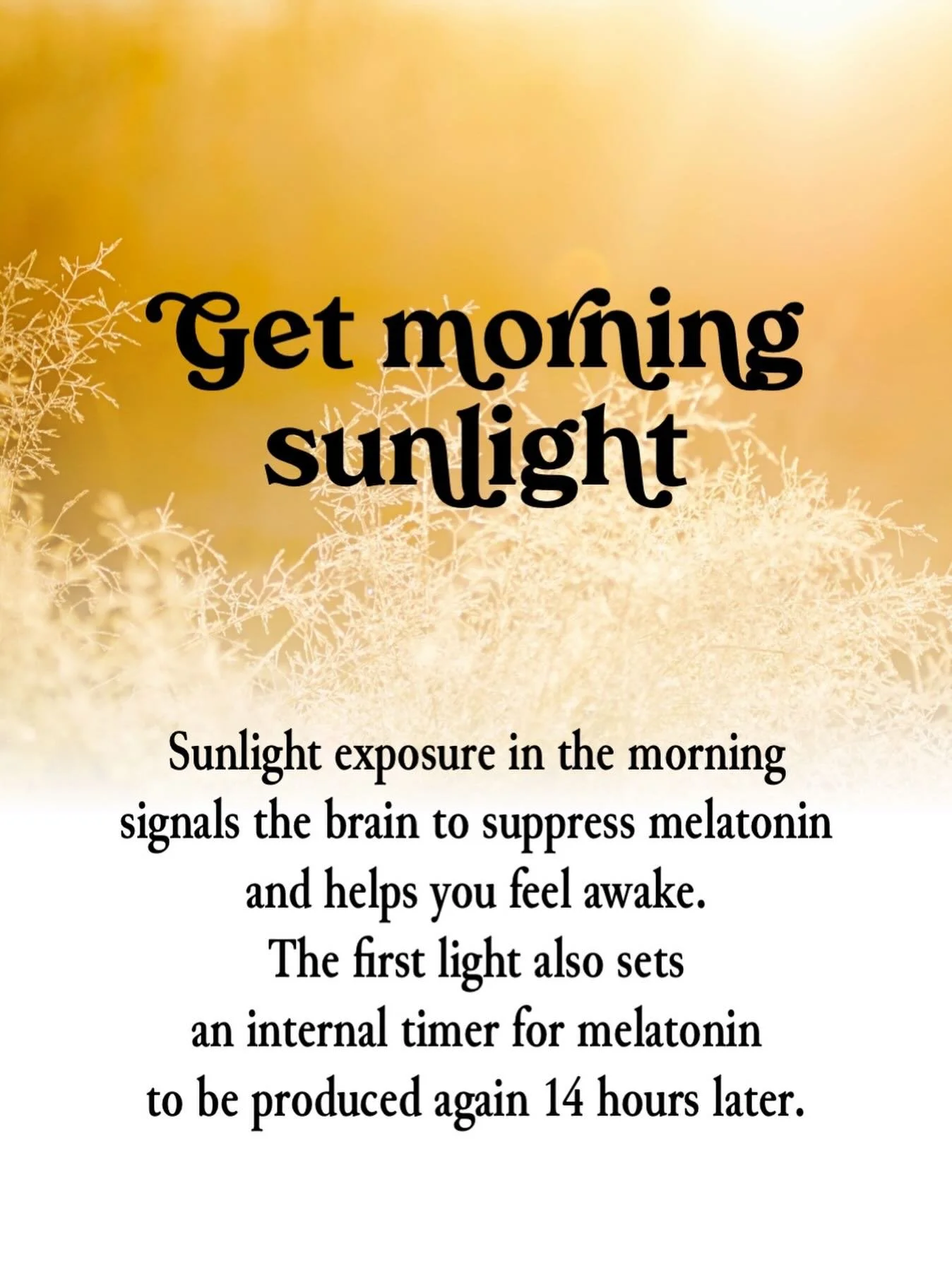 #lifestylemedicinedoctor #functionalmedicinedoctor #elementalmedclininc #elementalmed