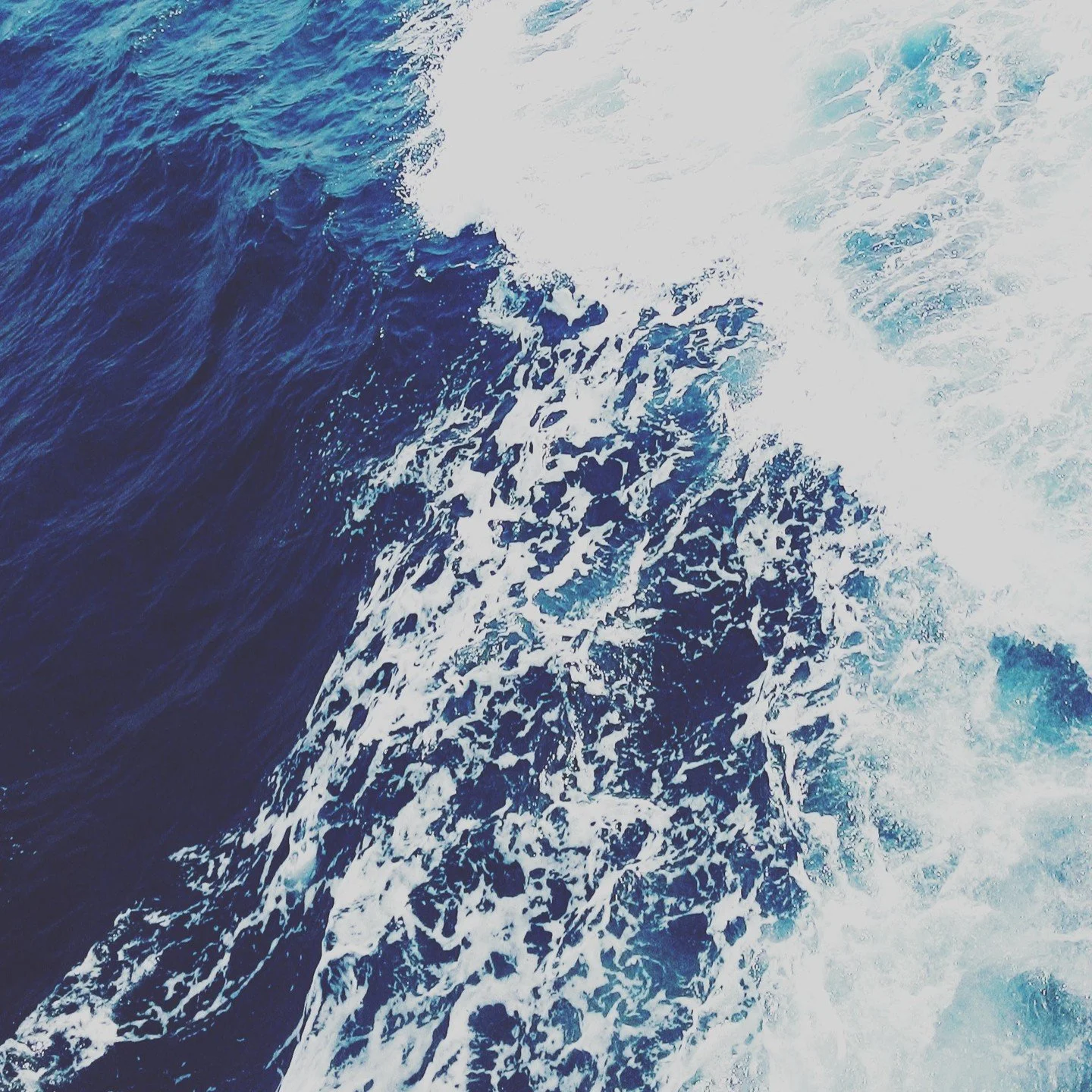 &ldquo;The natural healing force within each one of us is the greatest force in getting well.&rdquo; ~ Hippocrates