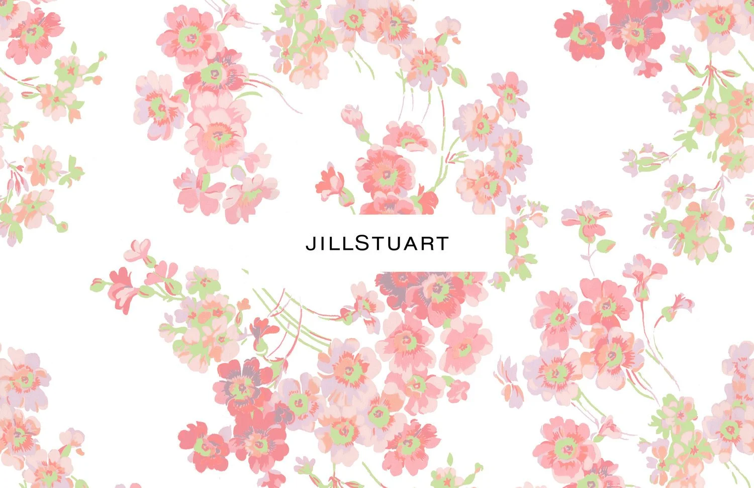Jill Stuart Zoe Kasten