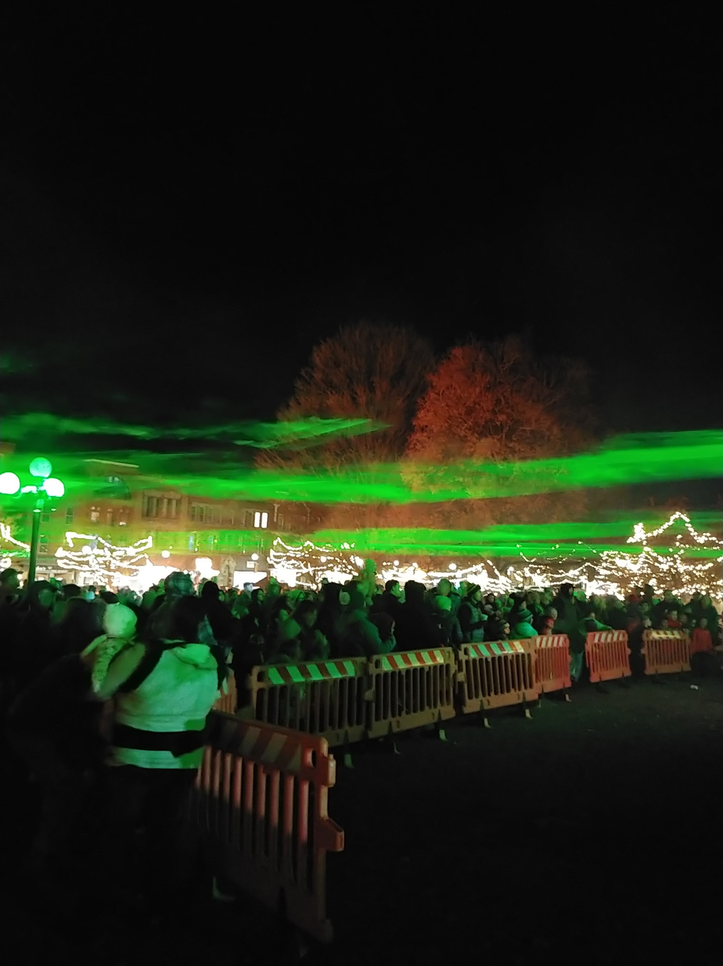 Tree Lighting 16.jpg