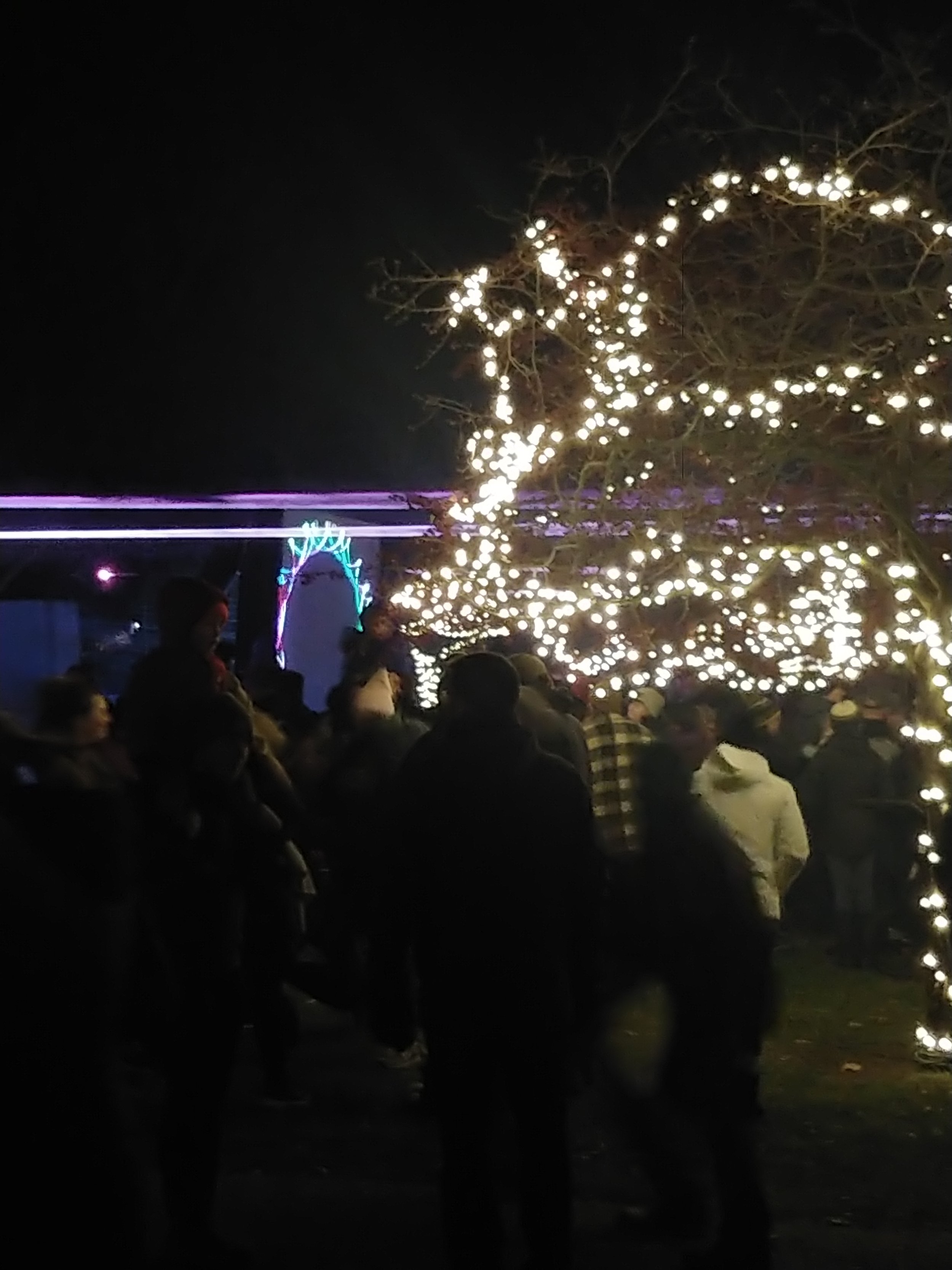 Tree Lighting 1.jpg