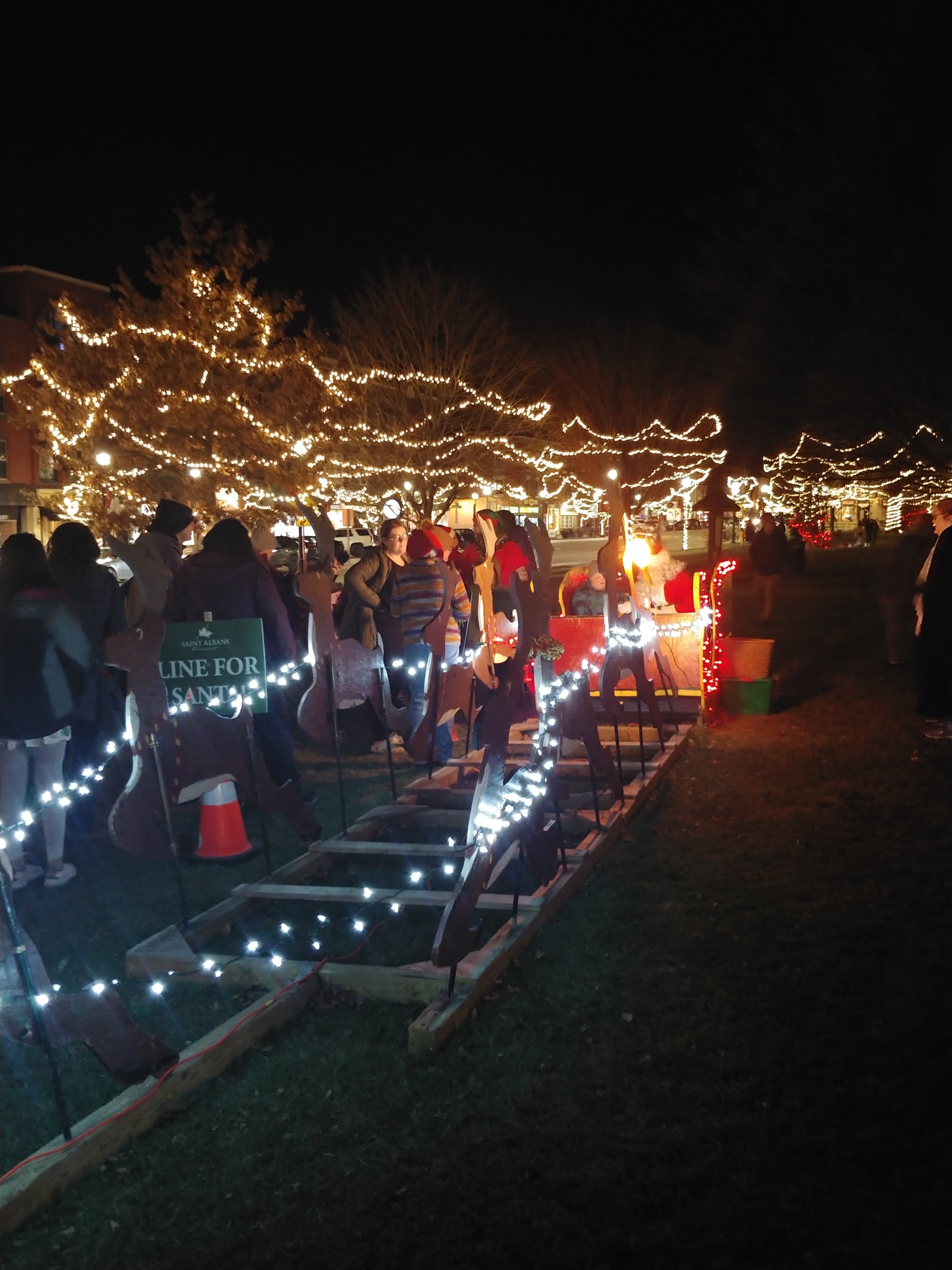 Tree Lighting 6.jpg
