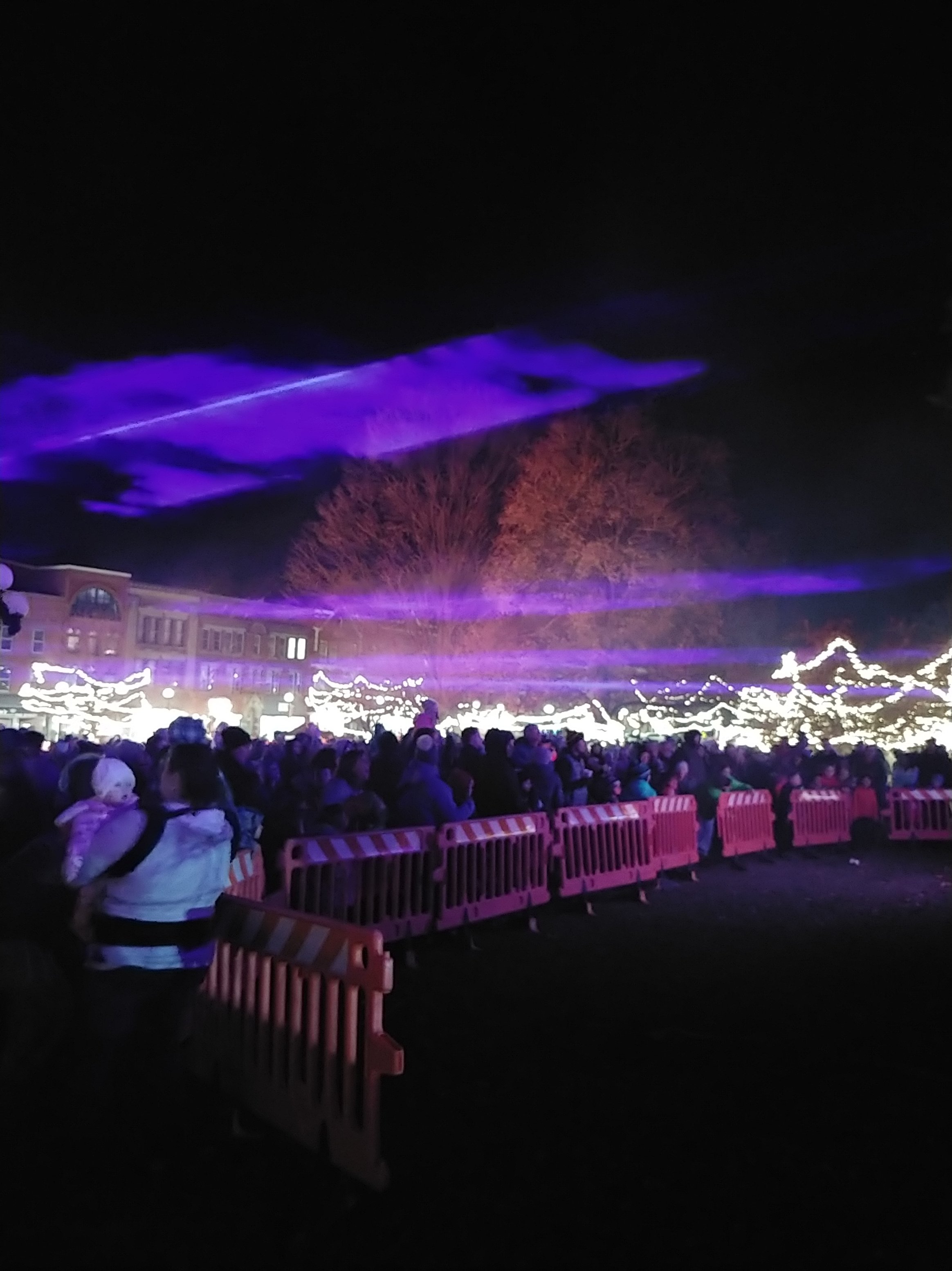 Tree Lighting 15.jpg
