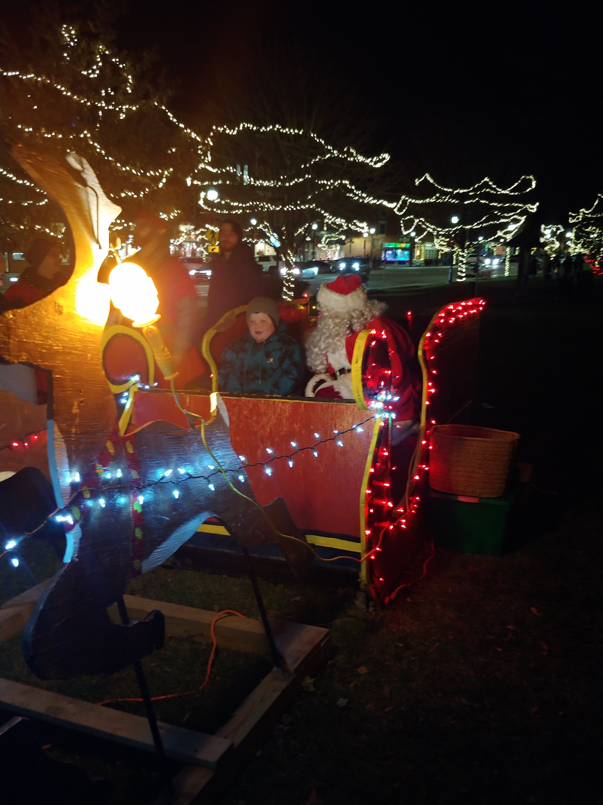 Tree Lighting 4.jpg
