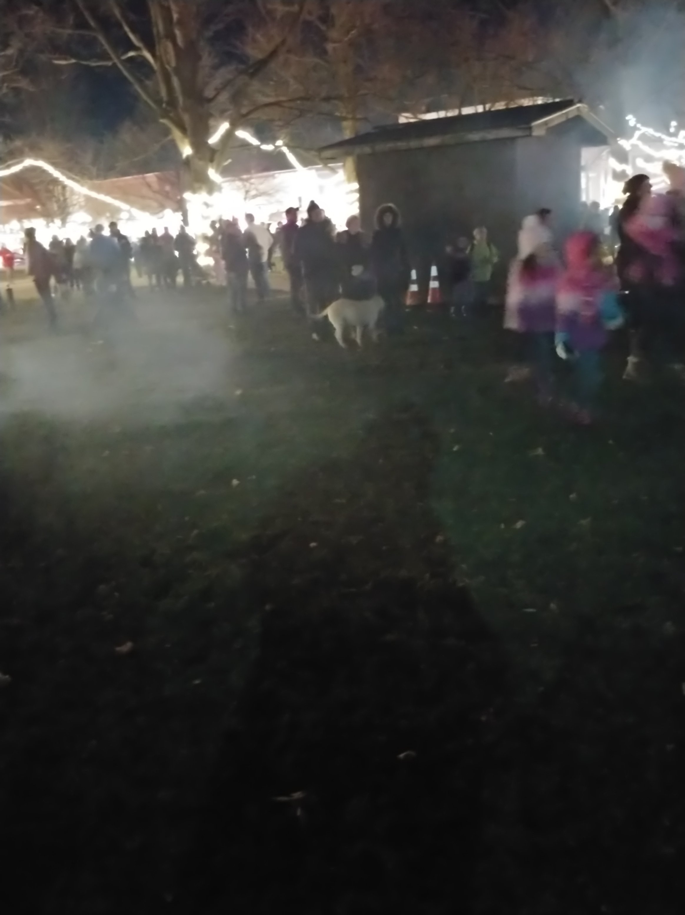 Tree Lighting 13.jpg