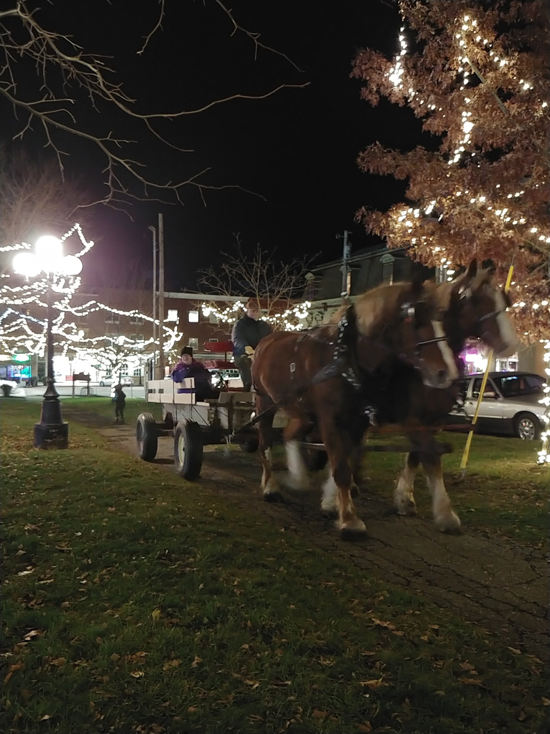 Winter Games and Sleigh Rides 1.jpg