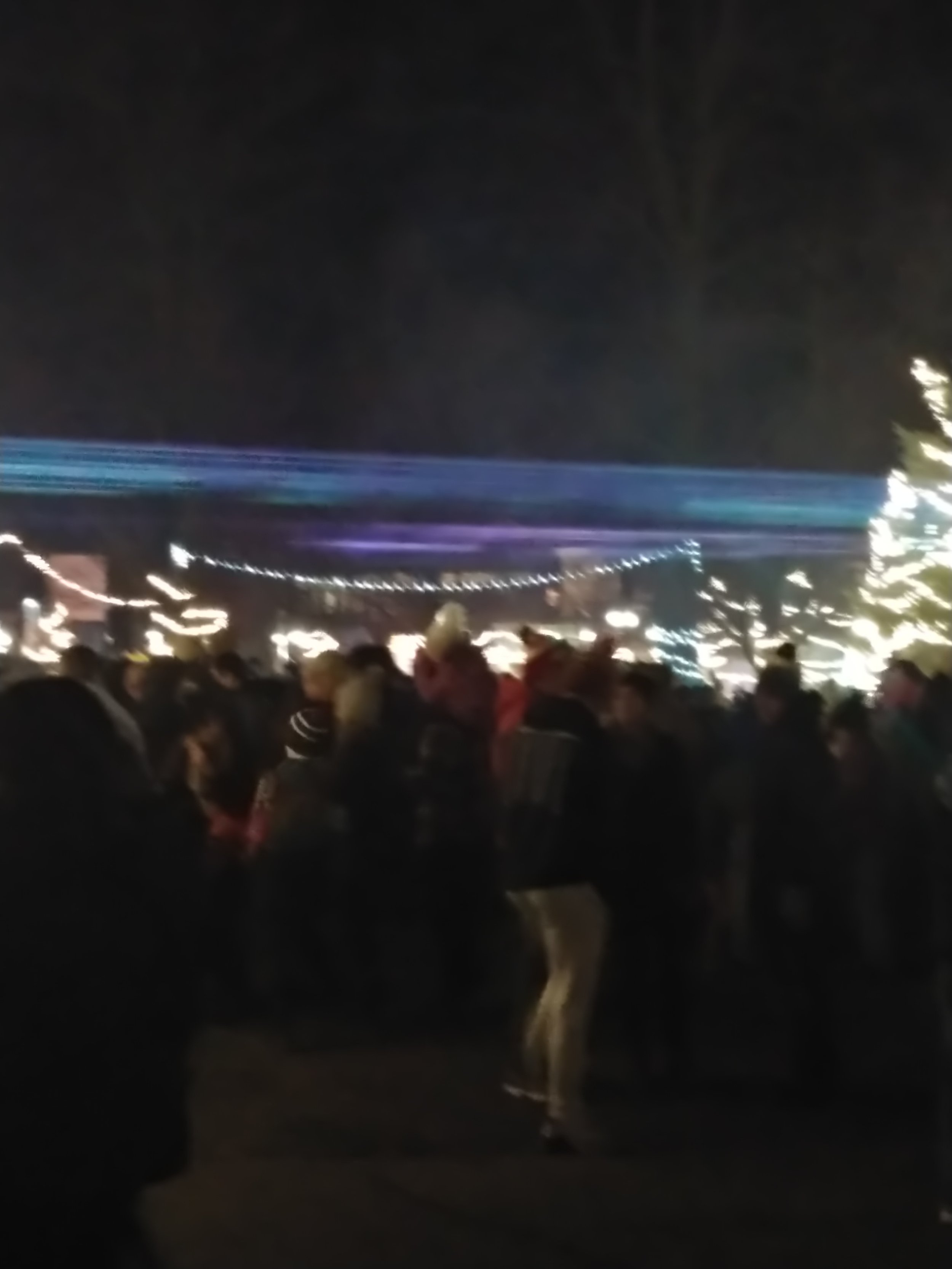Tree Lighting 3.jpg