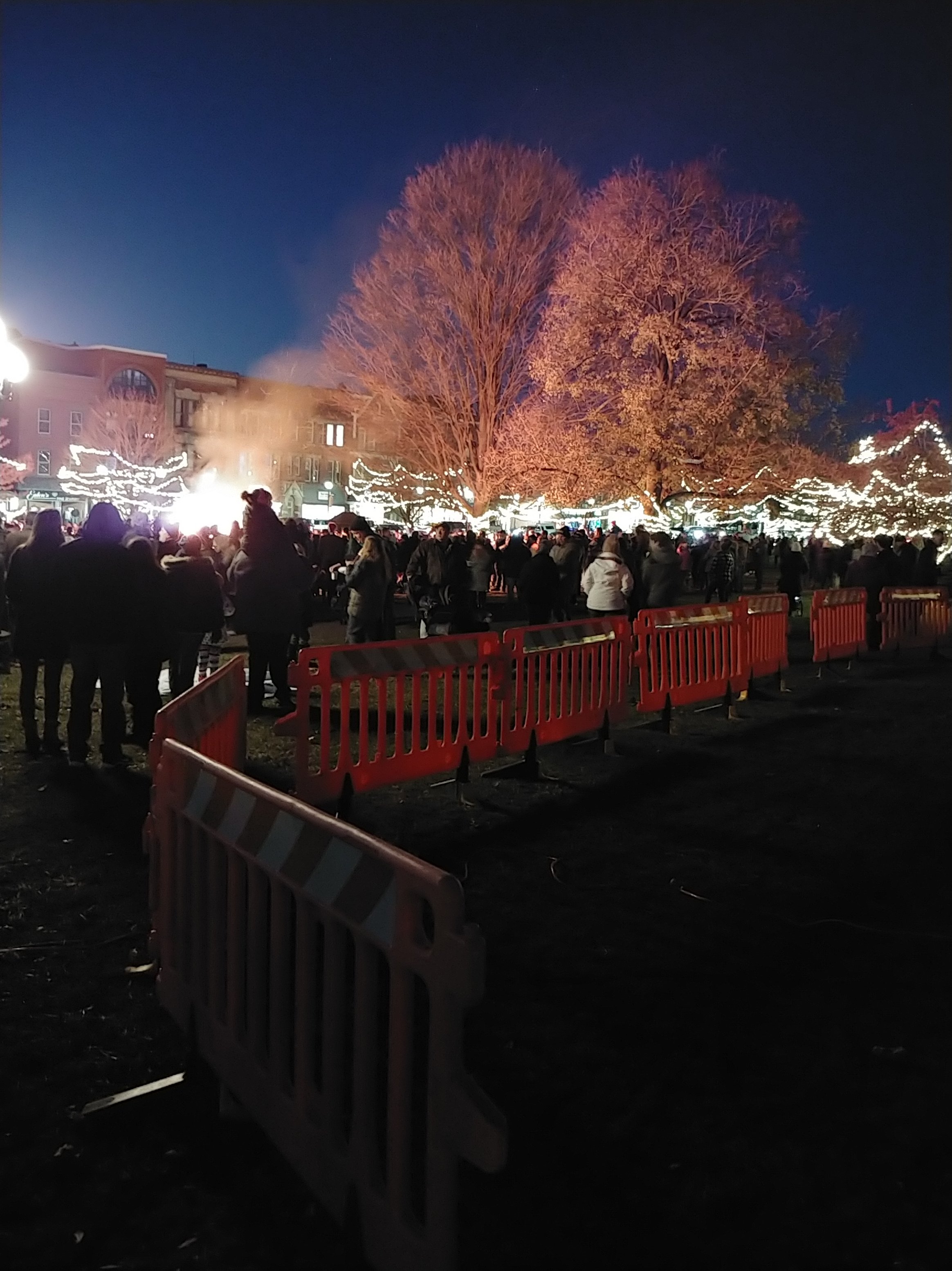 Tree Lighting 7.jpg
