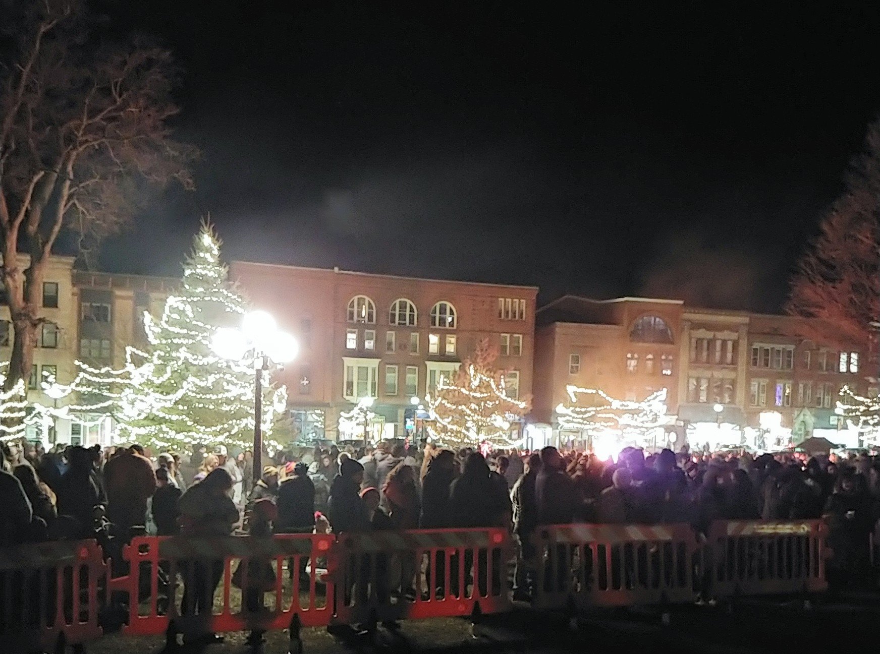 Tree Lighting 10.jpg
