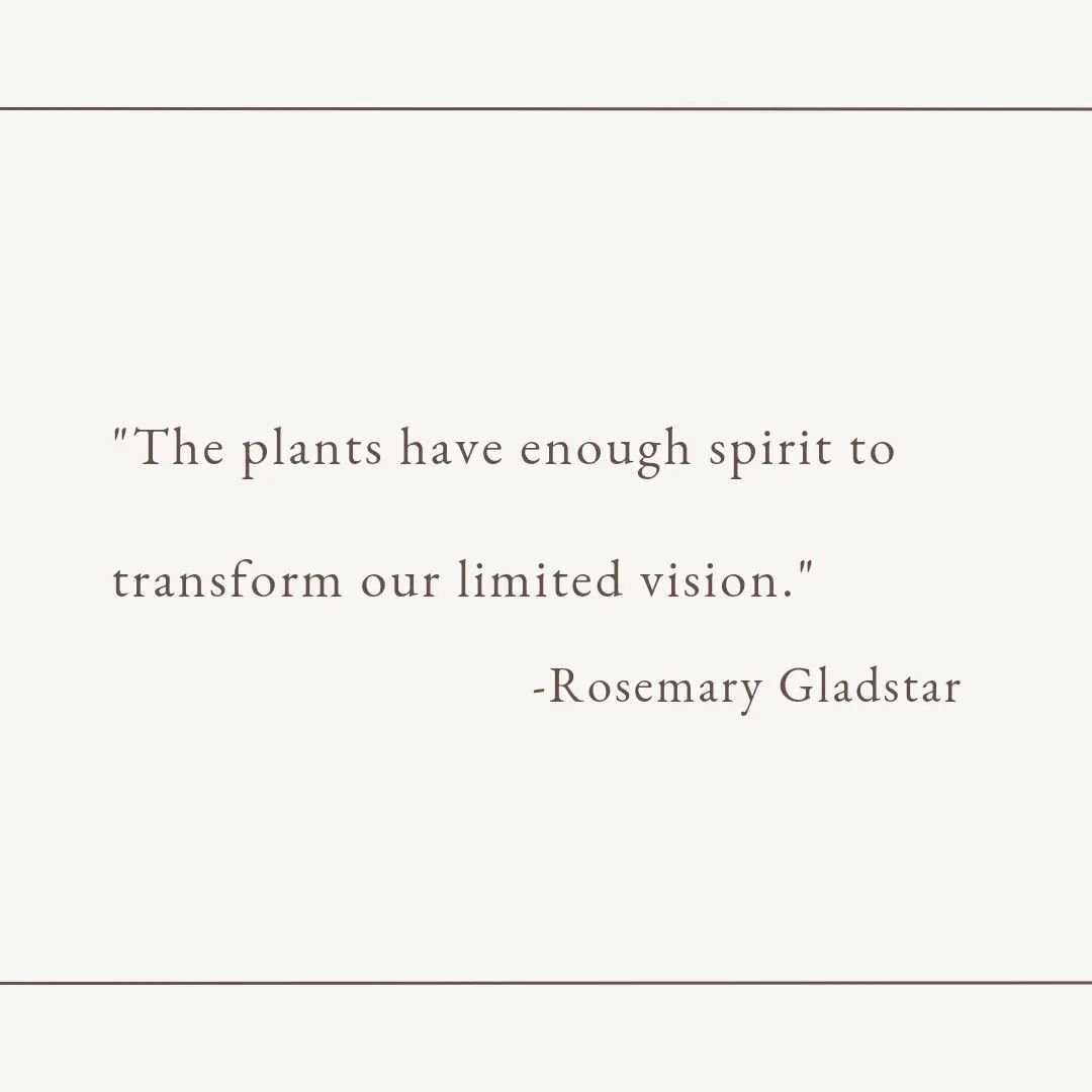 This morning, I harvested lemongrass and collected guava leaves for tea. As I tended to my plants, I found myself filled with creative inspiration and a refreshing sense of renewal. I am constantly amazed by the humble yet powerful nature of plant sp