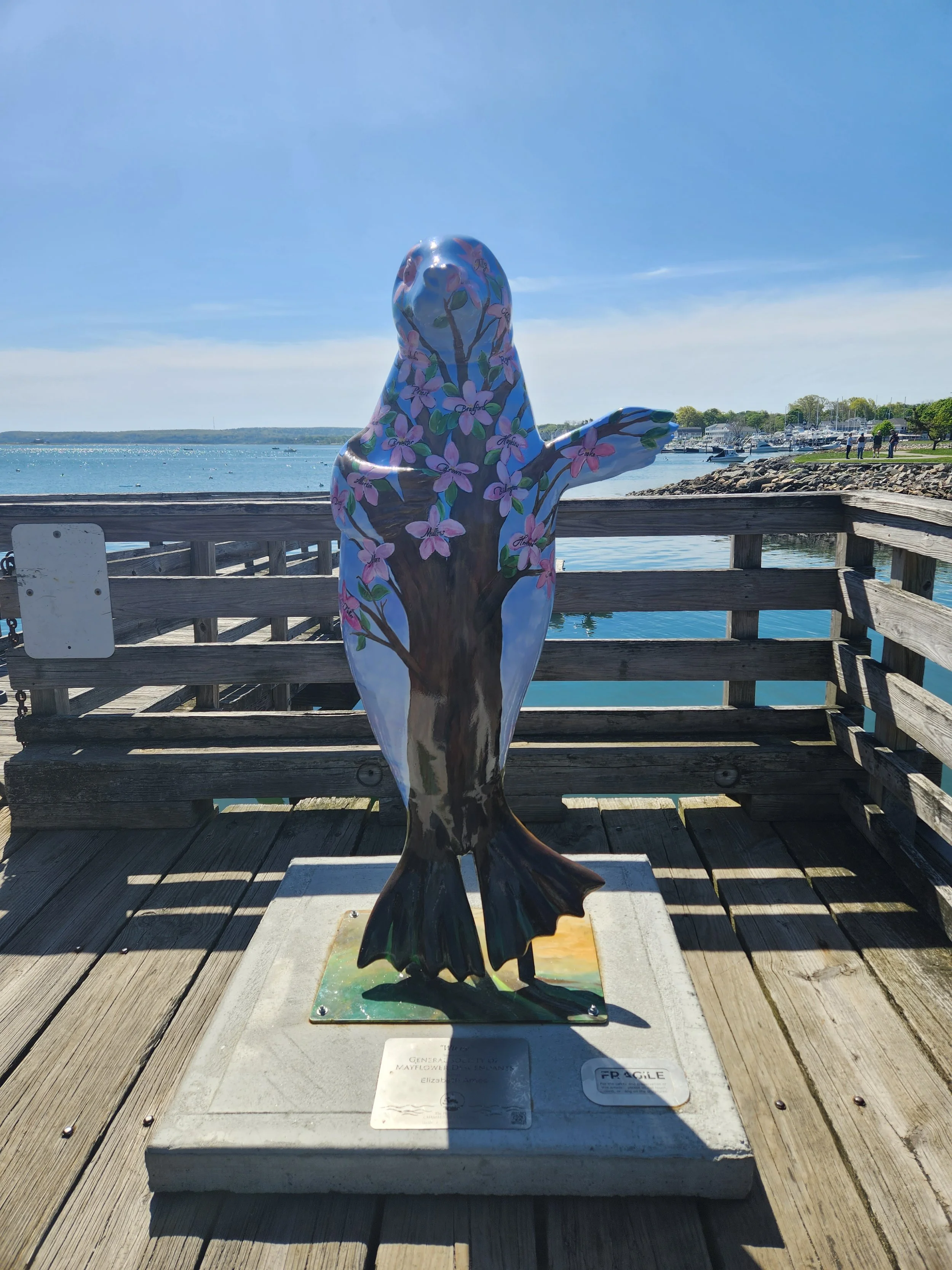pers_plymouth_seal-pc_maria.jpg