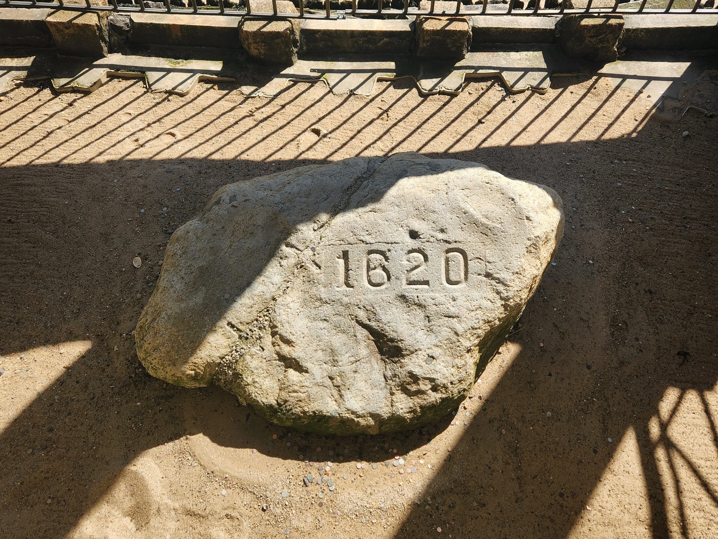 pers_plymouth_rock-pc_maria.jpg