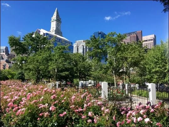 Rose Kennedy Rose Garden memorial honoring Gold Star Mothers