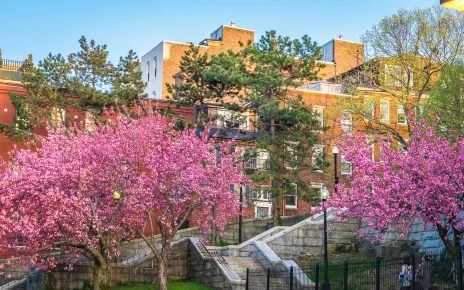 Stone steps leading up to Copp's Hill Terrace overlook