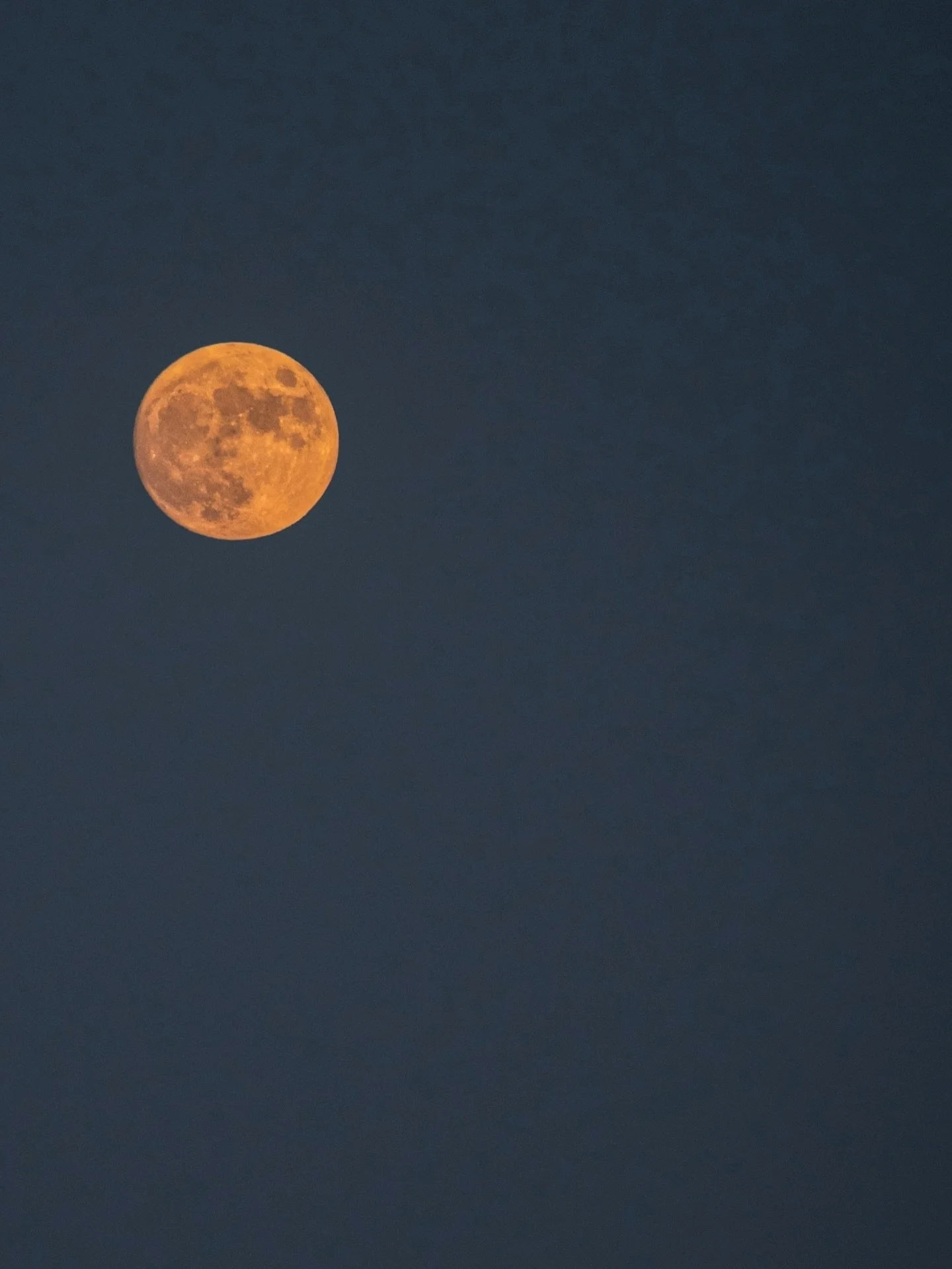 Last night, I watched the Harvest Moon rise with a stranger. She appeared in front of my house seemingly out of nowhere, a grandmotherly woman on a motorized scooter. She introduced herself, said she was visiting family from South Africa, and was out