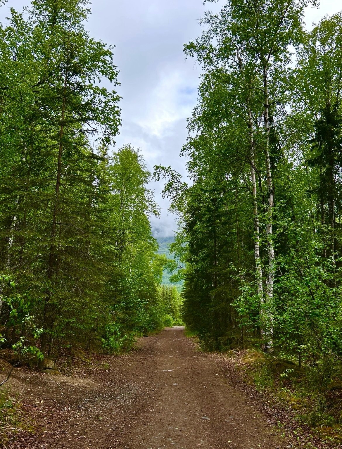 This week marks one year since the last time I hurt myself. 

That&rsquo;s not to say the last year has been perfect&mdash;there have been days I&rsquo;ve swapped one unhealthy choice for another&mdash;but it has been a full year since I cut or burne