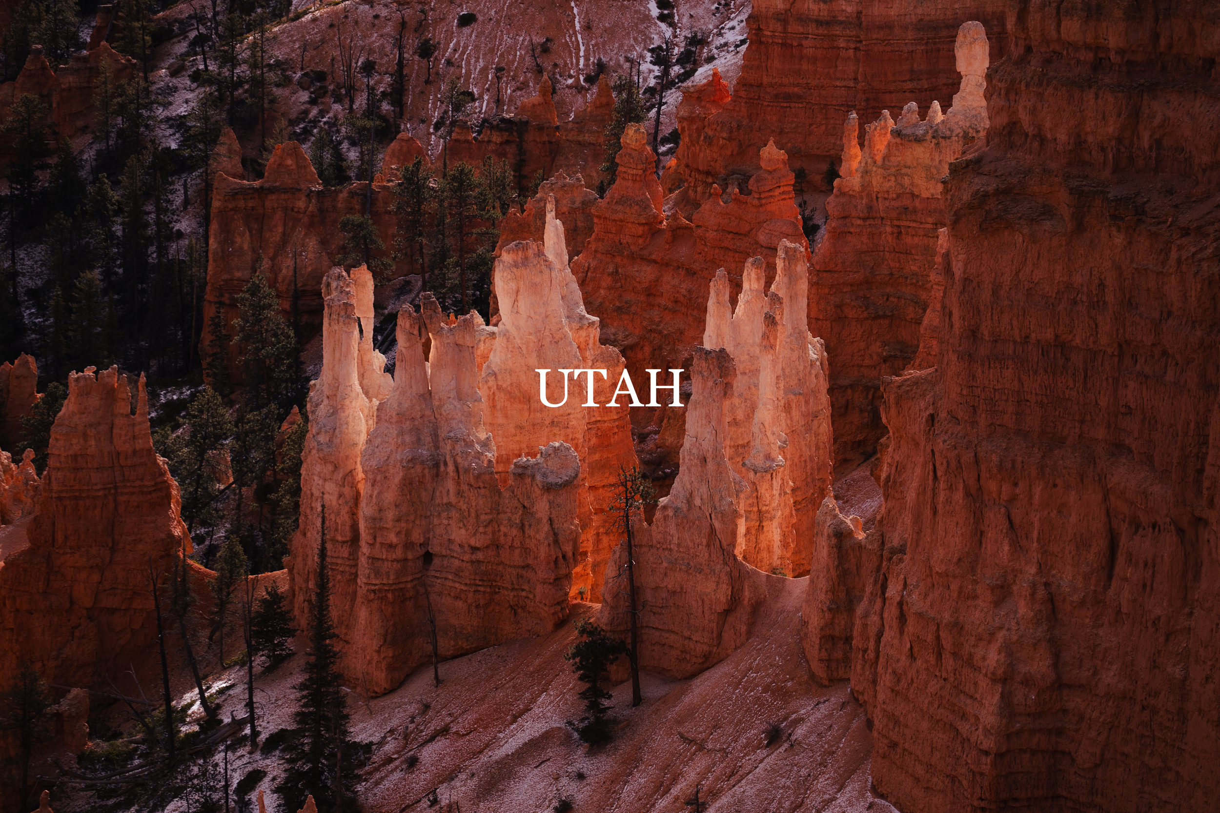Utah_Cover.png