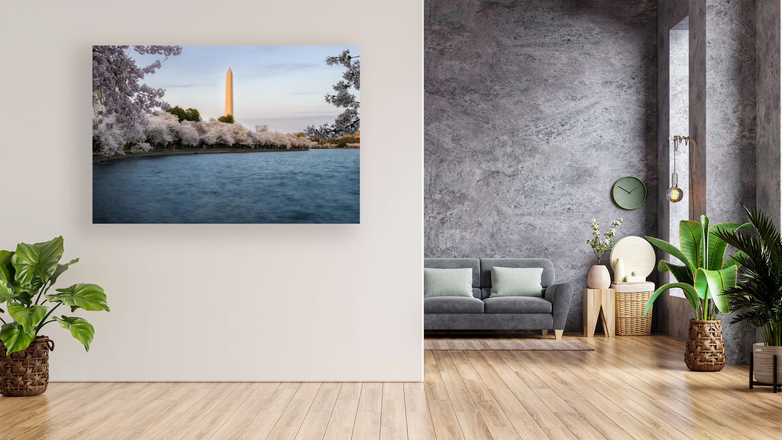 Tidal Basin Cherry Blossom.jpg