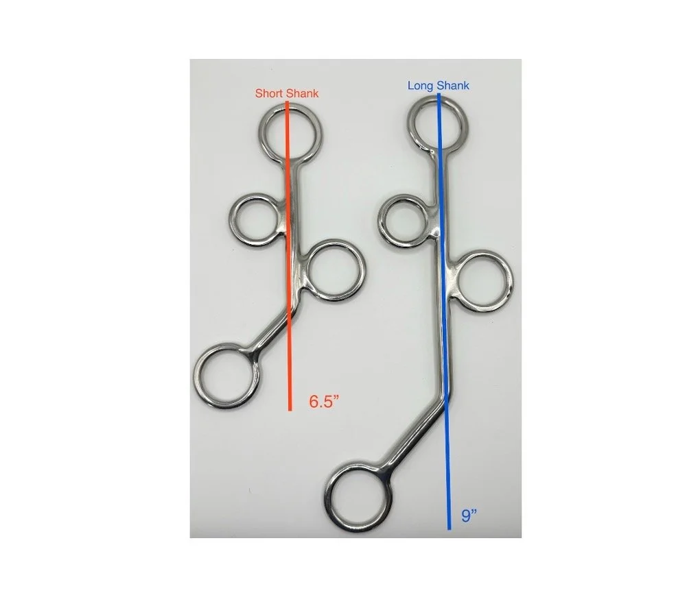 hackamore measurements.jpeg