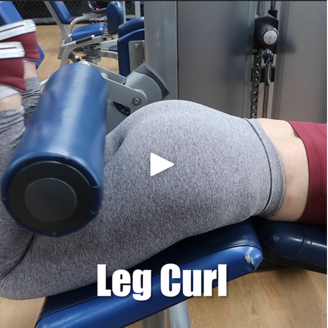                   <iframe src="//www.youtube.com/embed/6sfEmEl9cF8?wmode=opaque" height="480" width="854" scrolling="no" frameborder="0" allowfullscreen></iframe>  "         