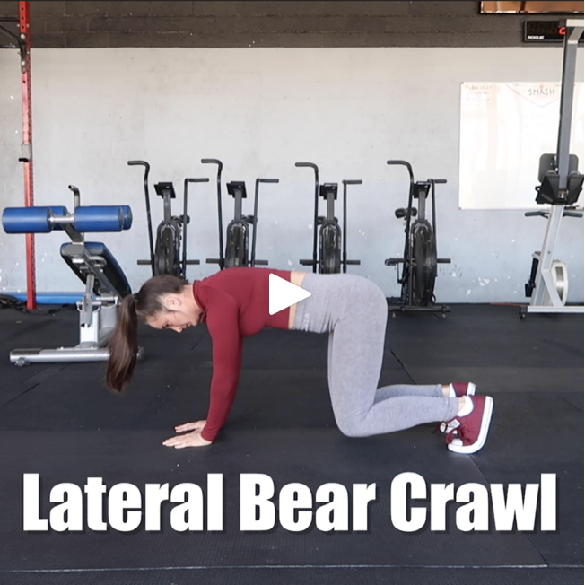                   <iframe src="//www.youtube.com/embed/2FBeuQzgCAw?wmode=opaque" height="480" width="854" scrolling="no" frameborder="0" allowfullscreen></iframe>  "         