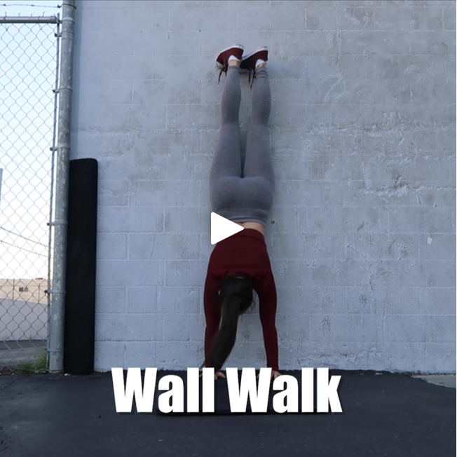                   <iframe src="//www.youtube.com/embed/gMa6xCqTTFE?wmode=opaque" height="480" width="854" scrolling="no" frameborder="0" allowfullscreen></iframe>  "         