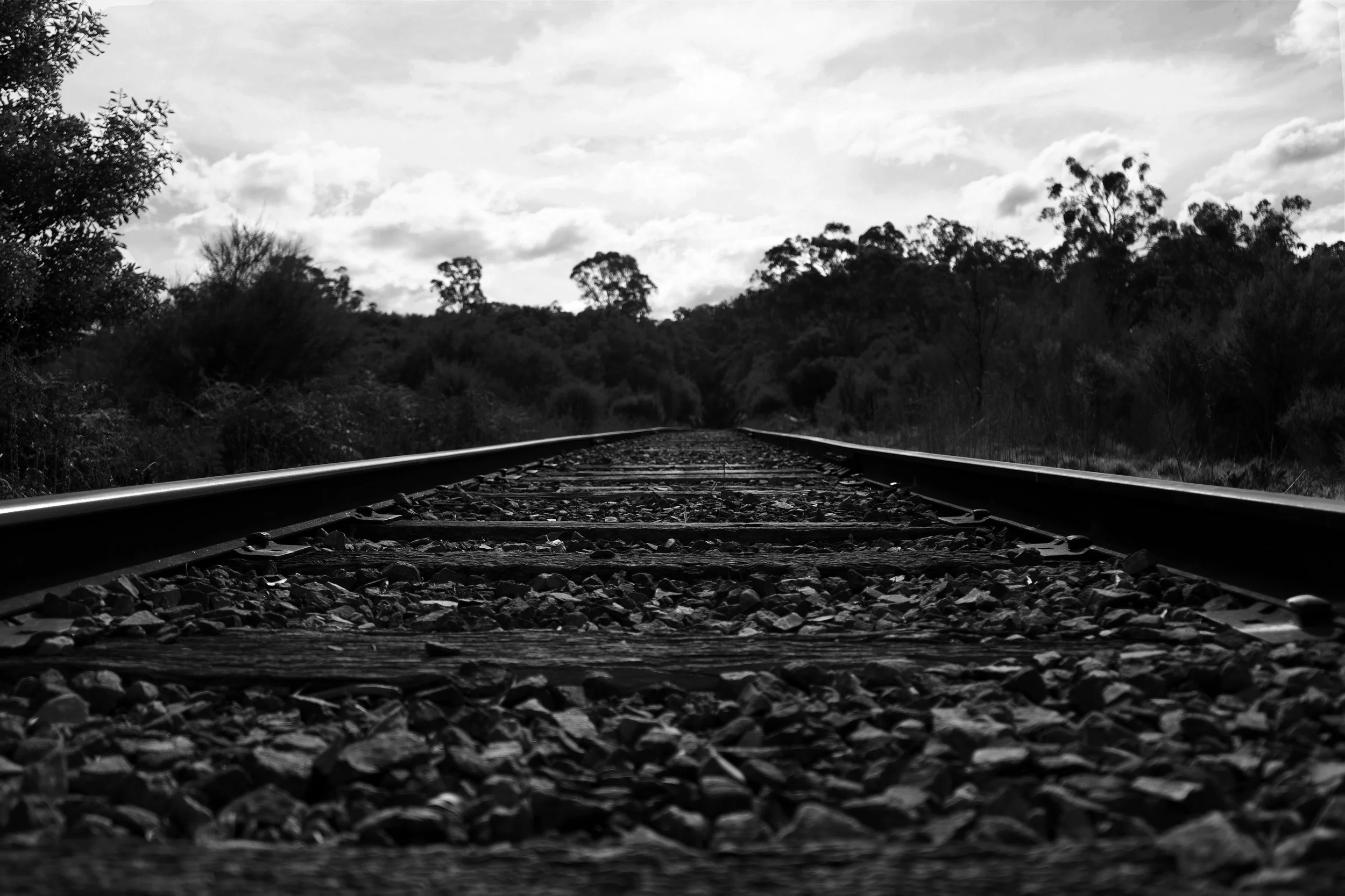 DSC01901 copy.jpg