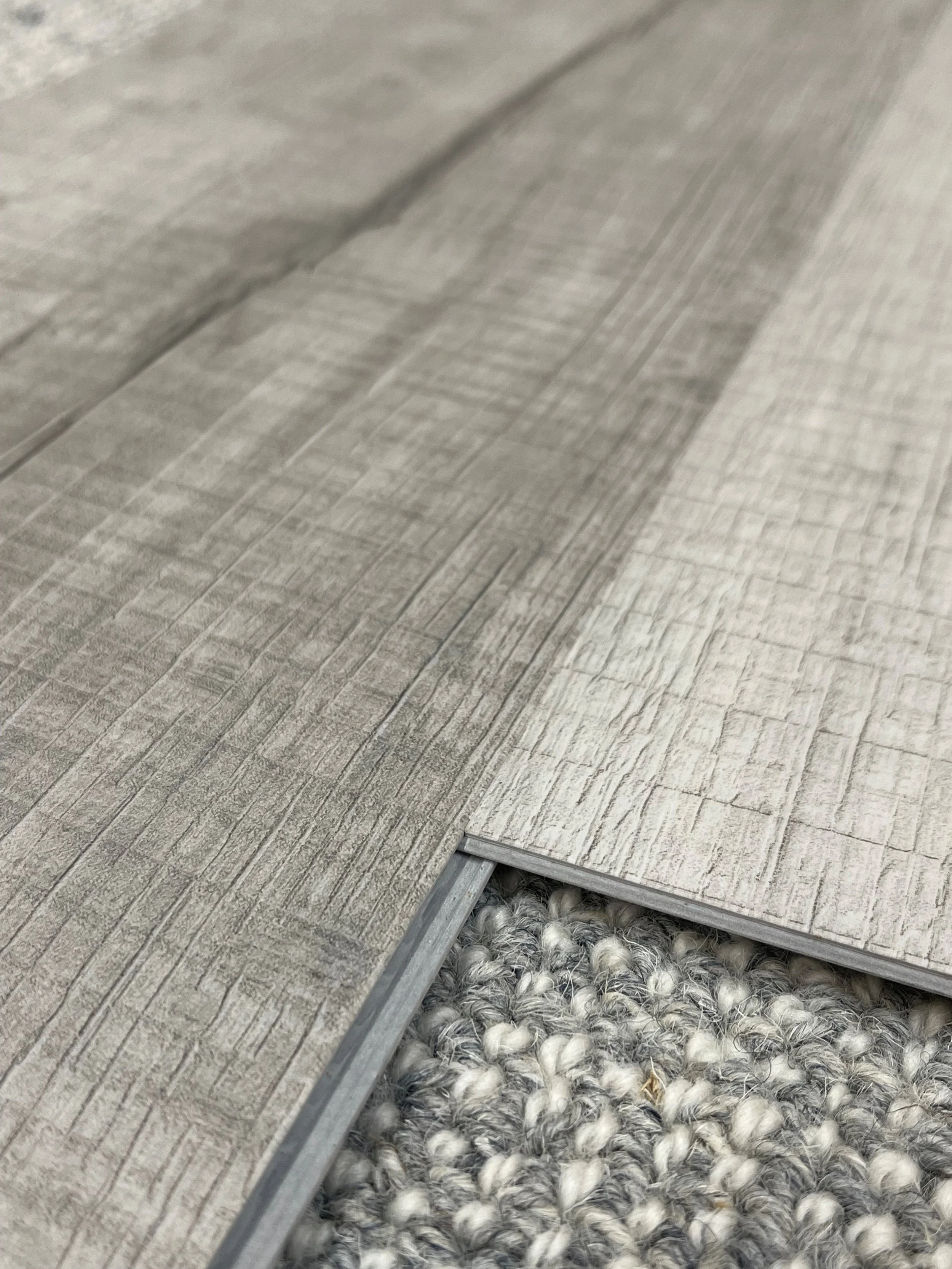 Chesapeake Oak 4.jpg